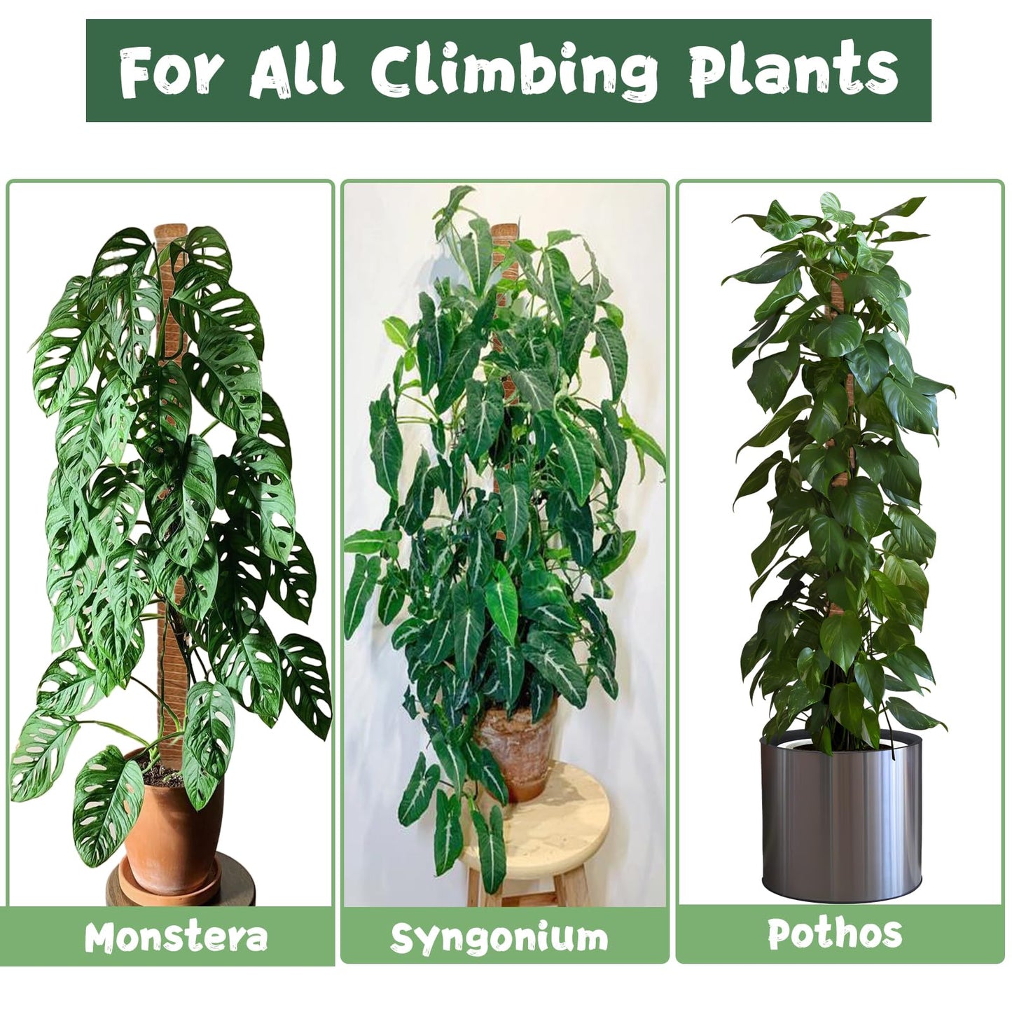 1 Pack 47.24 Inch Bendable Moss Pole for Monstera,120cm Plant Support Moss Sticks Stakes for Climbing Indoor Plants, Pothos & Philodendron - Coir/Coco Plant Trellis for Potted Climbers & Houseplants