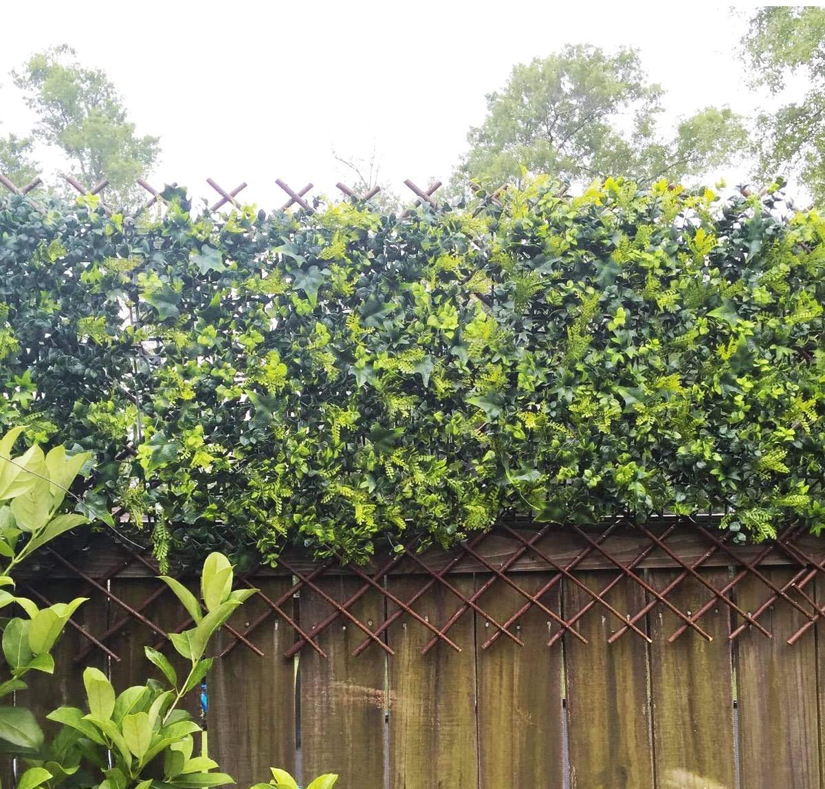 Helprise Expandable Willow Lattice Fence Panel Plant Support Garden Trellis Willow Trellis Fence for Climbing Plants Vine Ivy Rose Cucumbers Clematis Outdoors Garden Yard,36X92 Inch(4PC)