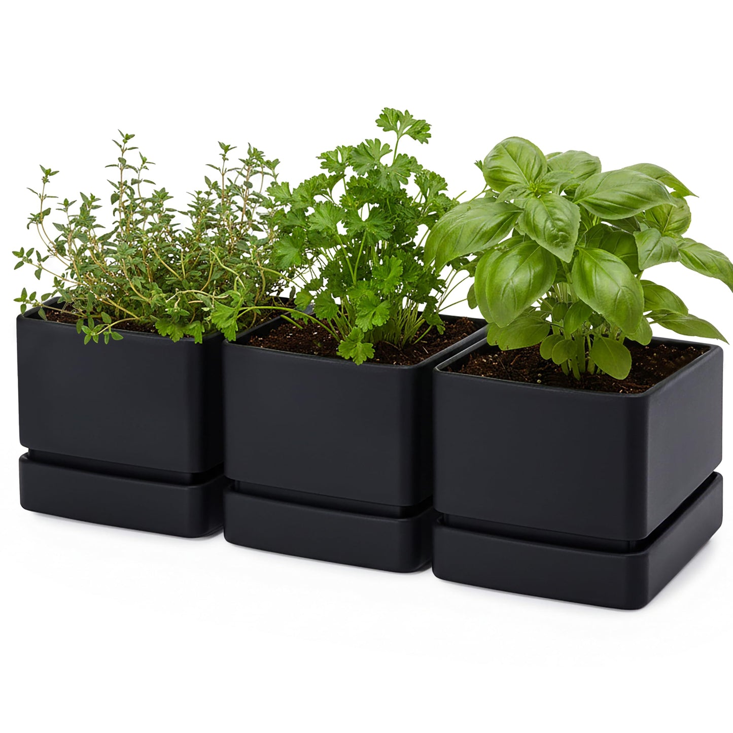 D'vine Dev 6 Inch Herb Planter Pot, Plastic Planter with Drainage Holes and Saucer, Modern Decorative Gardening Pot for Indoor Plants, Flowers, Herbs, Succulents, Black, Set of 3, 76-Y-B3-2