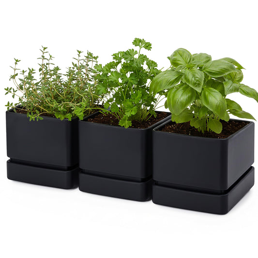 D'vine Dev 6 Inch Herb Planter Pot, Plastic Planter with Drainage Holes and Saucer, Modern Decorative Gardening Pot for Indoor Plants, Flowers, Herbs, Succulents, Black, Set of 3, 76-Y-B3-2