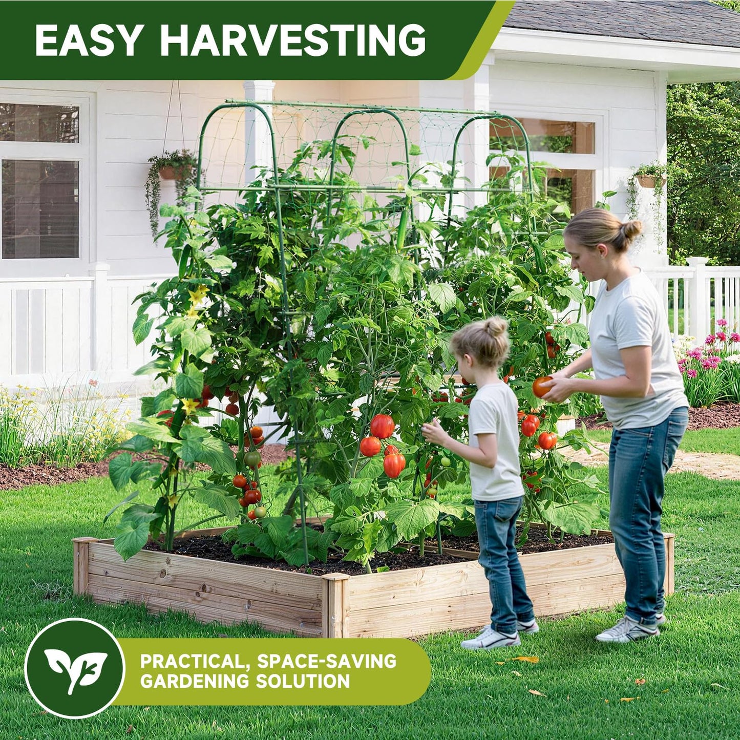 HIRALIY Cucumber Trellis for Climbing Plants Outdoor, 5.6ft Tall Heavy Duty Metal Garden Arch Trellis, Rustproof Plant Support Tunnel for Tomato, Grape, Bean, Raised Bed and Vegetable Gardens, Green