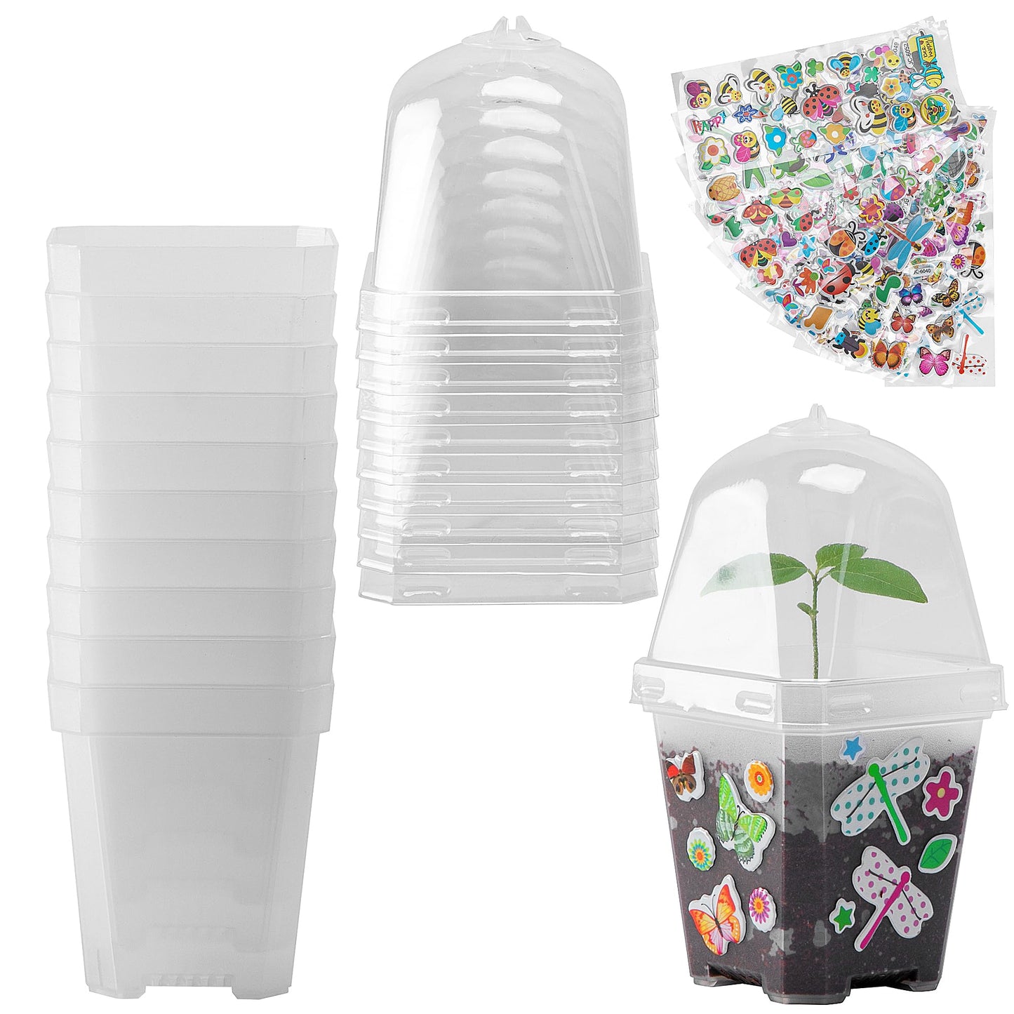 EBaokuup 10 Pack Clear Plant Nursery Pots with Humidity Dome-3" Reusable Plastic Gardening Pot with Printed Labels-Small Seed Starting Pots for Seedlings Vegetables Succulents Cuttings
