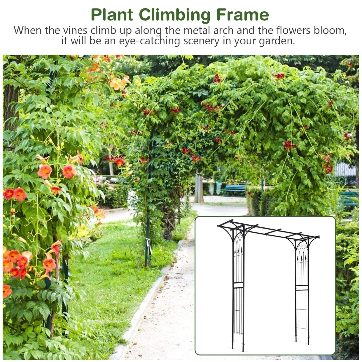 Safstar Metal Arch, 81-Inch Outdoor Garden Arbor for Various Climbing Plant Flower, Wedding Arch Backdrop Arch Stand for Wedding Garden Bridal Party Ceremony Decoration, Easy-to-Assemble, Black