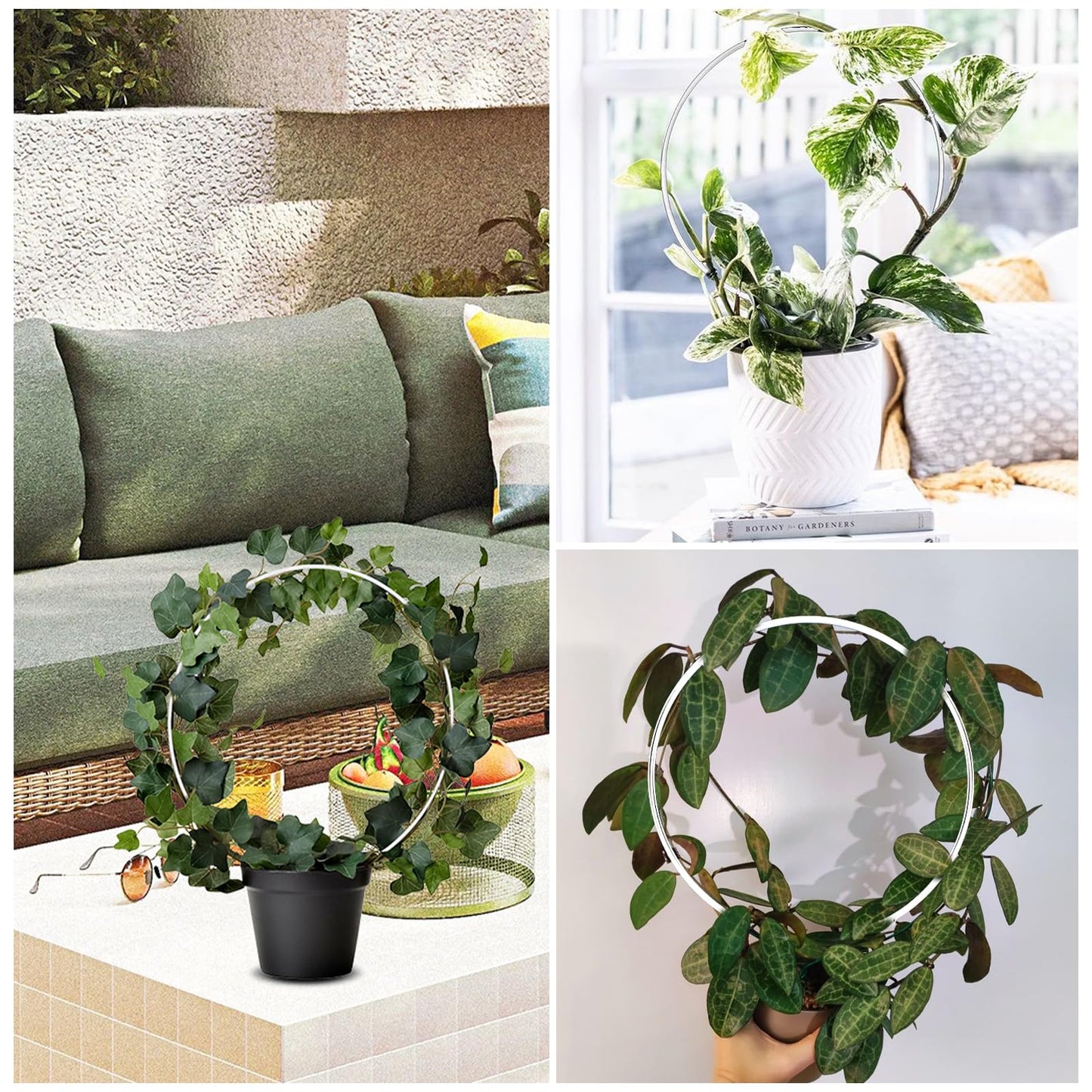 2 PCS Round Plant Trellis for Potted Plants, Small Trellis Indoor Outdoor Rust-Proof Circle Trelli for Climbing Plants Circle Plant Climber Support Stakes for Potted Flowers Garden Stem Vines