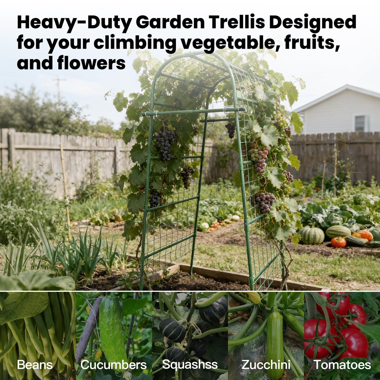 Garden Arch Trellis for Climbing Plants Outdoor, 7 Ft Tall Cucumber Trellis for Raised Bed, Metal Archway Arbor Trellis Support for Vegetables Beans Squash Peas Grape Vines Flowers
