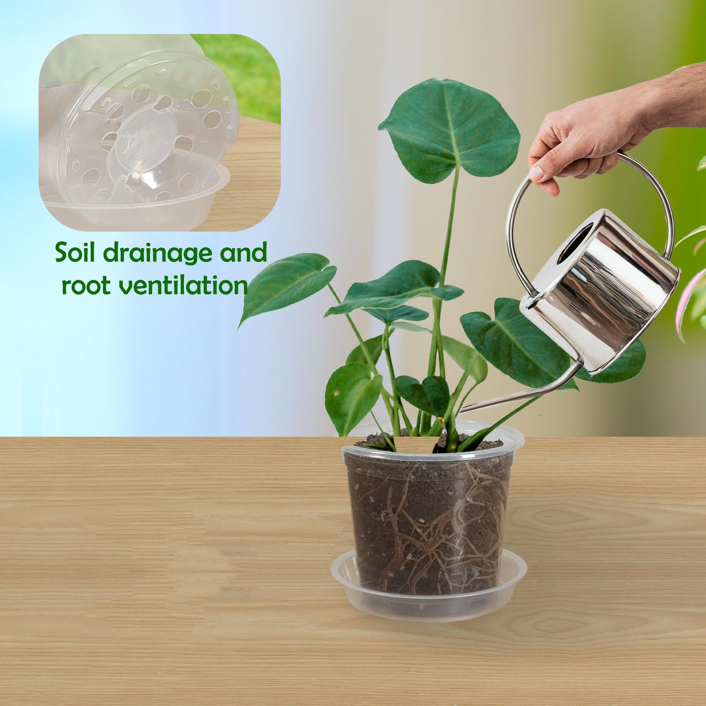 TNTIWQ 40 Pack 3 Inch Clear Nursery Pots with Drainage Plant Pots for Plants Transparent Potting Containers for Plants Seeding Starter Pot (Clear, 3 Inch 40 Pcs)