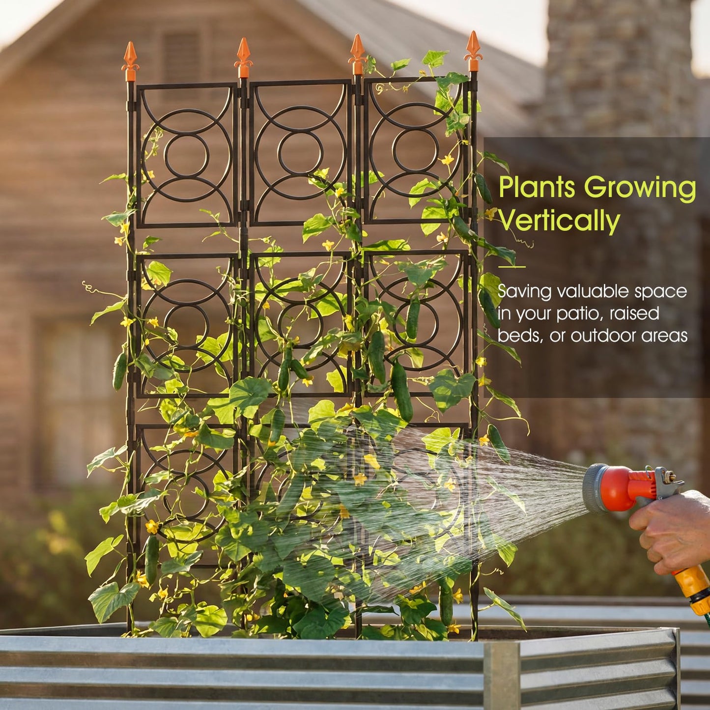 Trellis for Climbing Plants Outdoor, 24 Rifny Tall Garden Trellis Flower Rose Cucumber Trellis for Vines Pea Support, Wall Large Plant Trellis Fence with with Plastic Frame, 3 x 6.2 FT