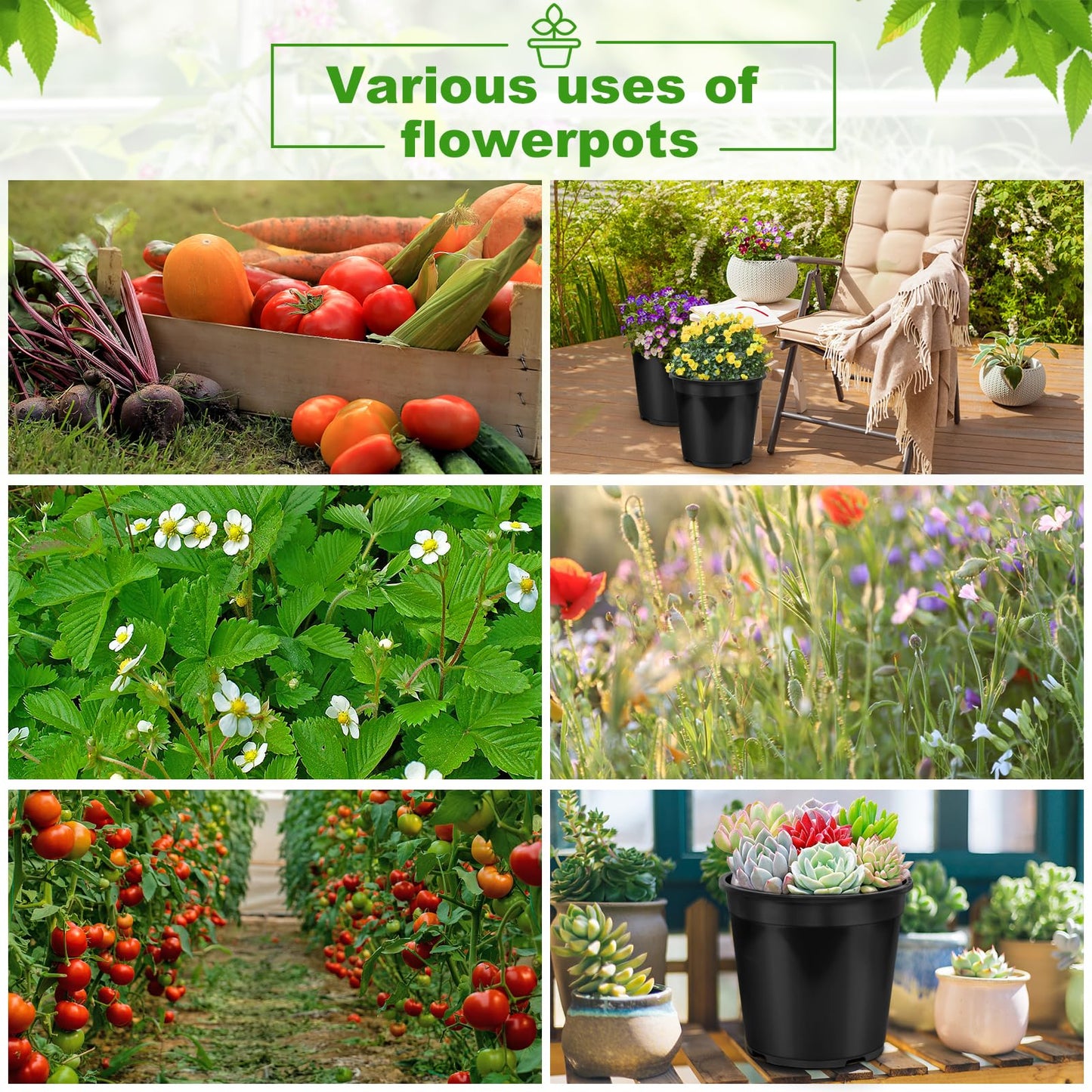 DUNPUTE 6 Pack 5 Gallon Pots for Plants, 5 Gallon Plastic Nursery Pot with Drainage Holes, Sturdy Plastic Plant Pots for Nursery Garden, Flowers, Succulent Outdoor Indoor (Black, 5 Gal- 6 Pack)