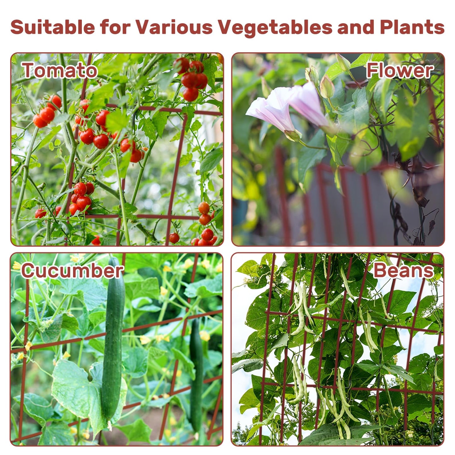 DOEWORKS Cucumber Trellis, 48" High Foldable A Frame Garden Trellis, 2 Pack, Plant Support for Climbing Cucumber, Beans, Tomatoes, Flowers, Red