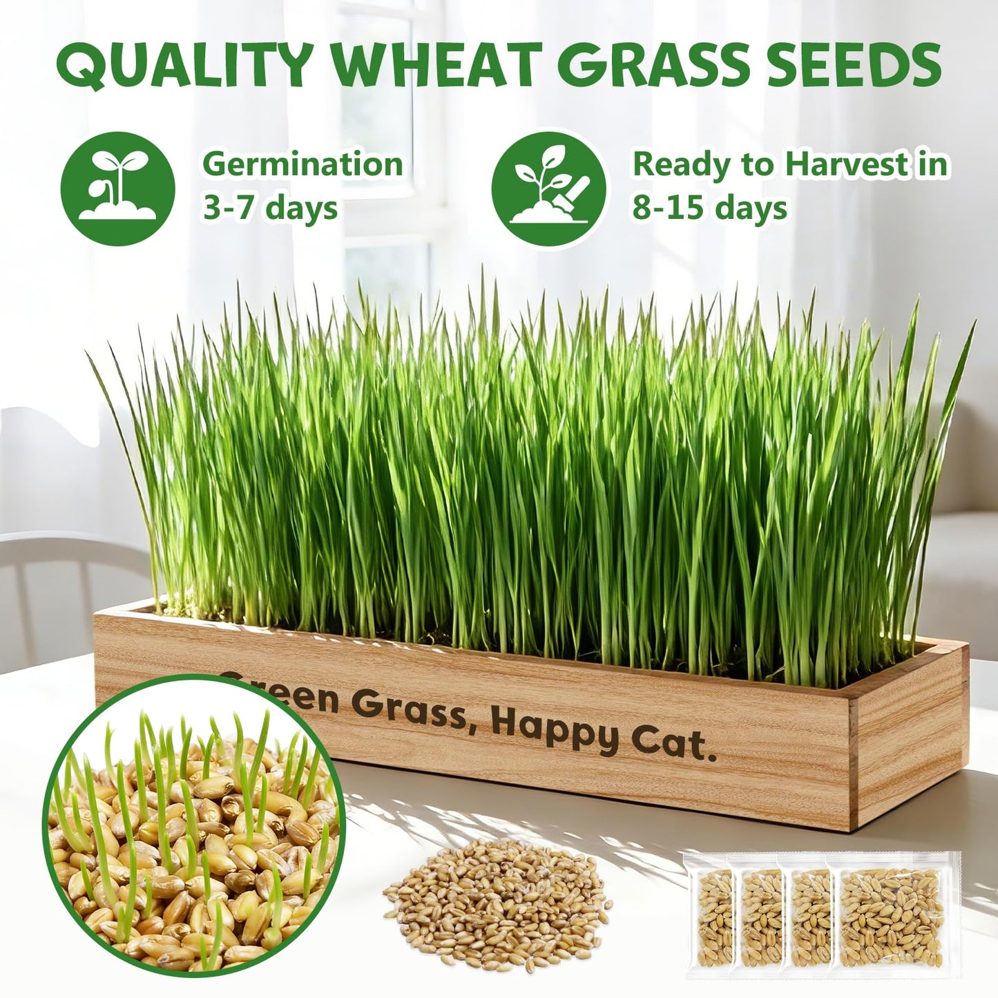 LUOJIBIE Cat Grass Kit for Indoor Cats, Cat Grass Seeds Set, Non-GMO Wheat Grass, Mother' s Day Gifts for Mom, Unique Christmas Birthday Gifts for Women Men Girl, House Warming Gifts for Cat Lover