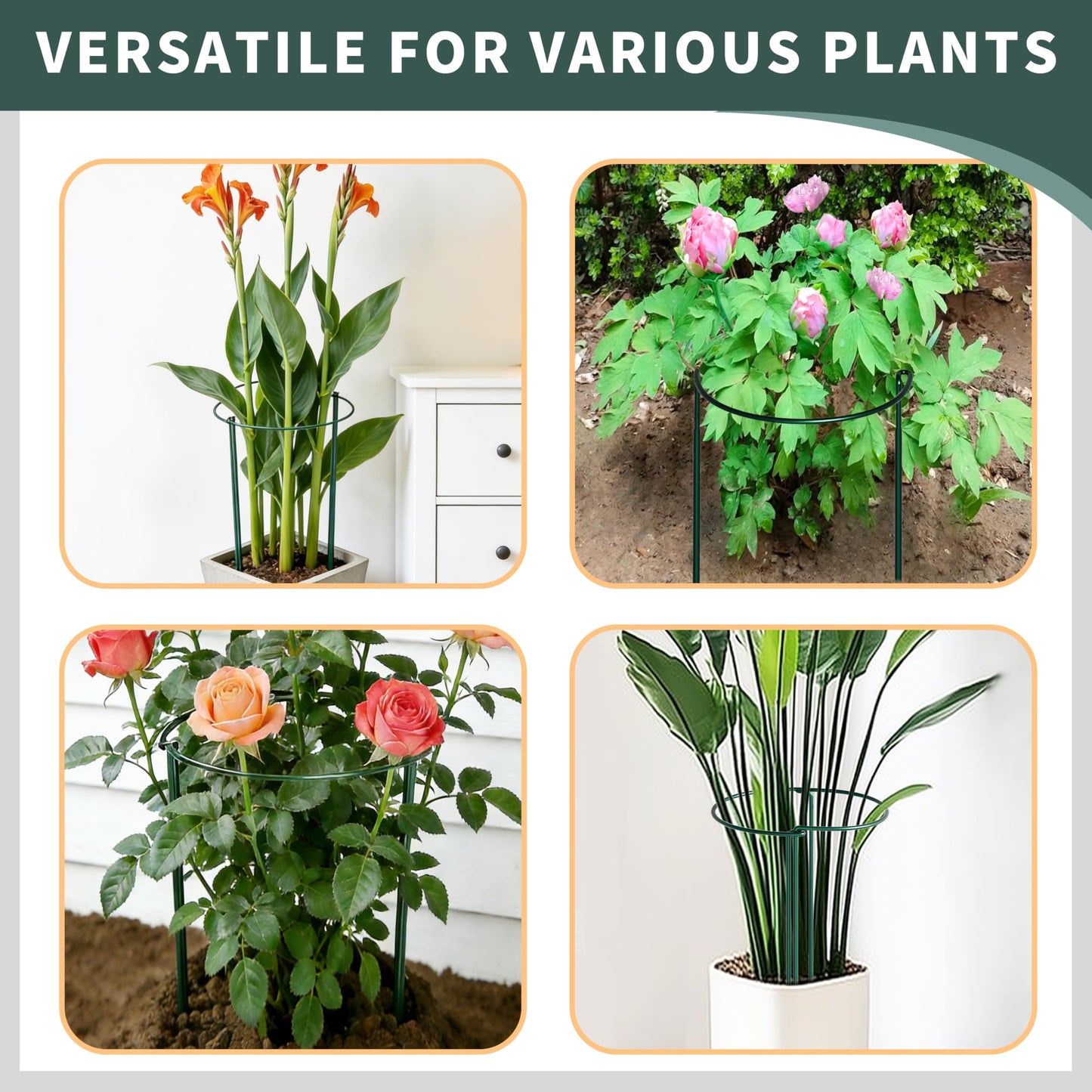 TCBWFY 4 PCS Plant Supports 16" Dx46 H Peony Cages and Supports,6mm Thick Metal Wire Heavy-Duty Garden Stakes for Indoor & Outdoor Plants,Ideal for Peony,Tomato,Hydrangea,Rose