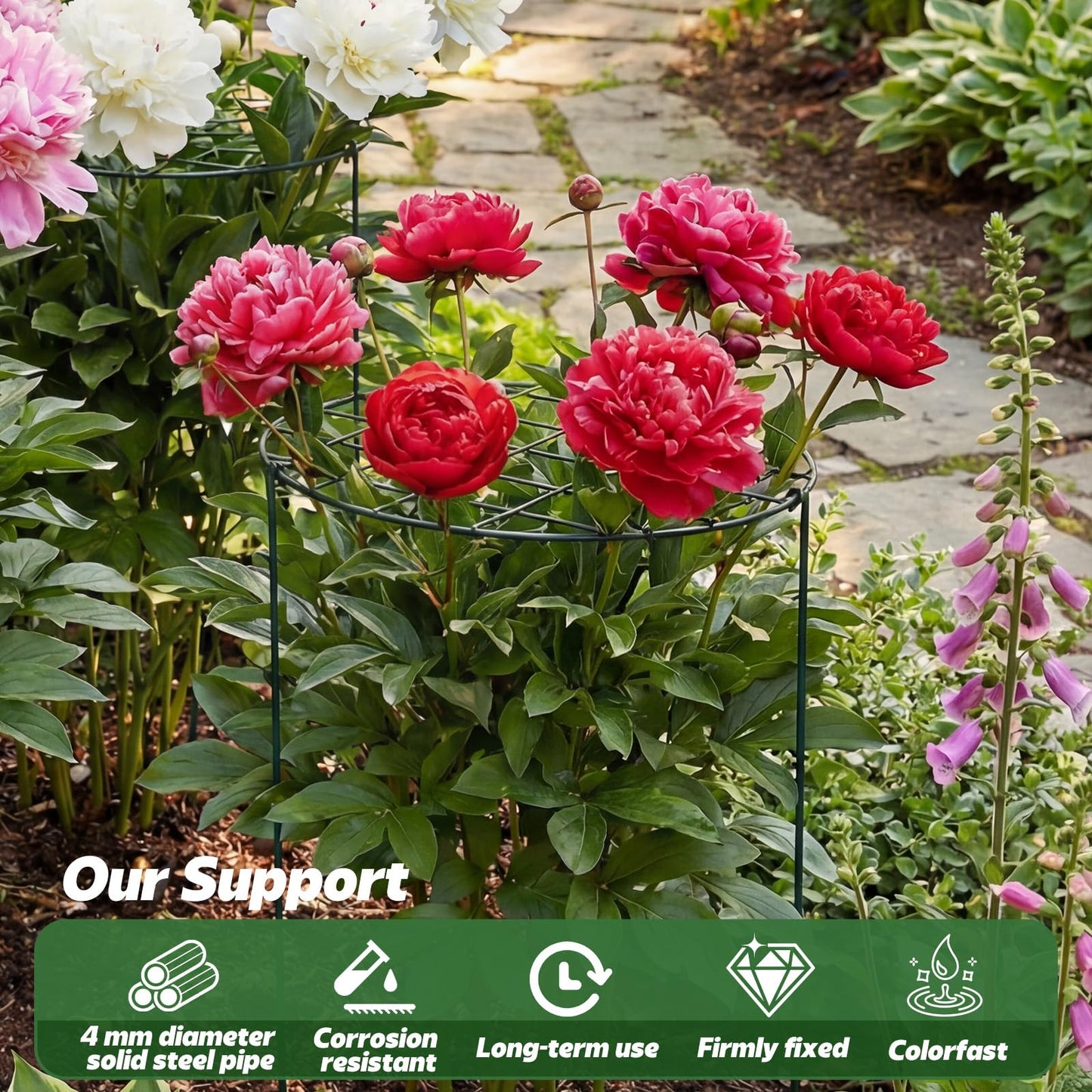 Sunnychicc 4 Pack Round Peony Cages and Supports 12 x 16 Inches (D x H) Grow Through Grid Plant Brace Plant Support Stake Heavy Duty Metal Flower Support Rings for Rose Tomato Hydrangea Strawberry
