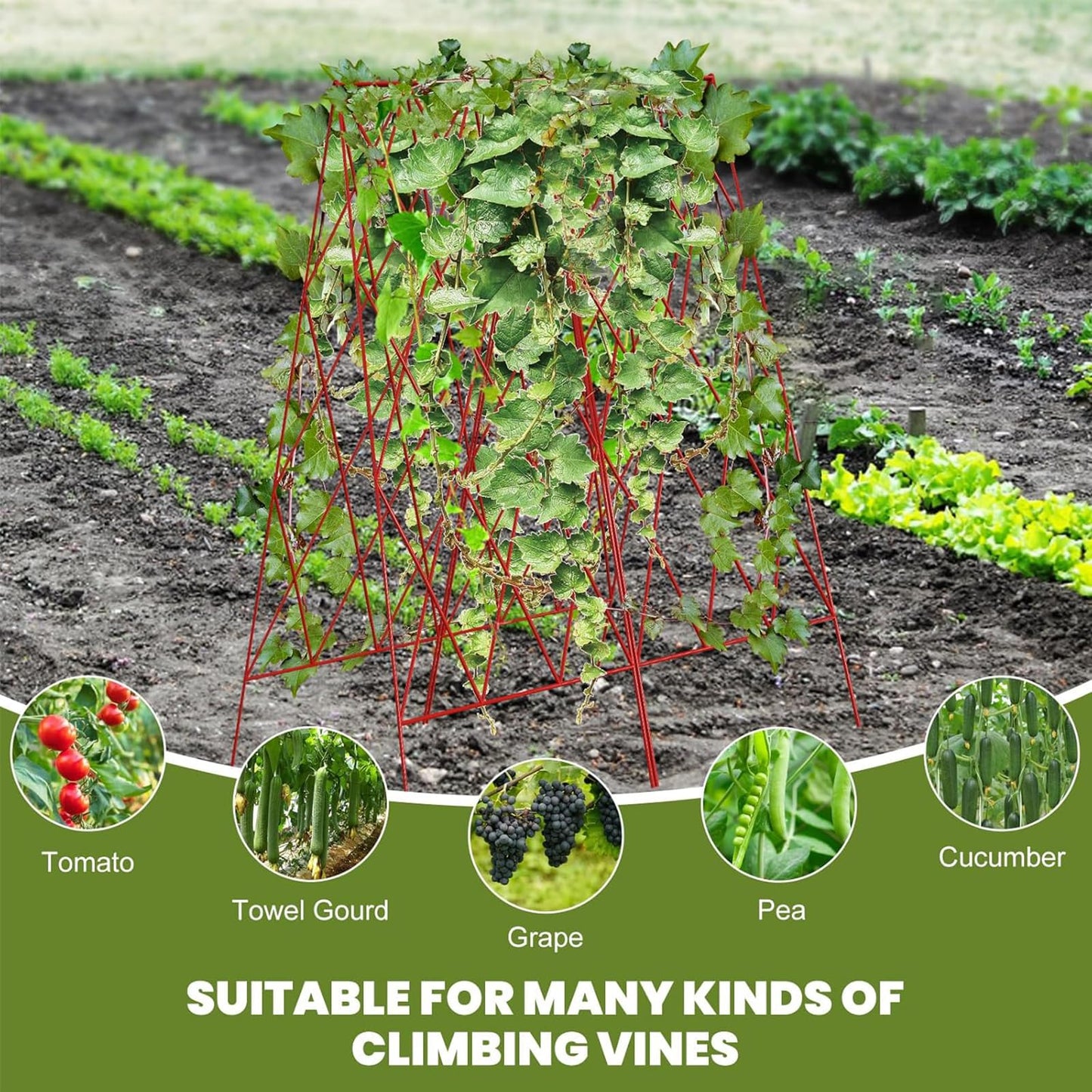 UrGROWA Cucumber Trellis 2 Pack, Foldable A-Frame Garden Trellis for Raised Bed Garden Grow Support with Plant Support Clips, Twist Ties, Plastic Ties, for Cucumber,Tomato, Climbing Plants and Flowers