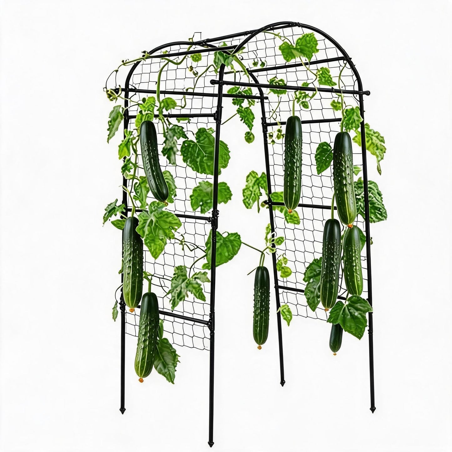 6.8x3x2.6FT Garden Arch Trellis for Raised Beds, Heavy Duty u-Shaped Plant Support for Climbing Vegetables, Fruits & Vines, Outdoor Rust-Resistant Metal Trellis for Vertical Growing, Black