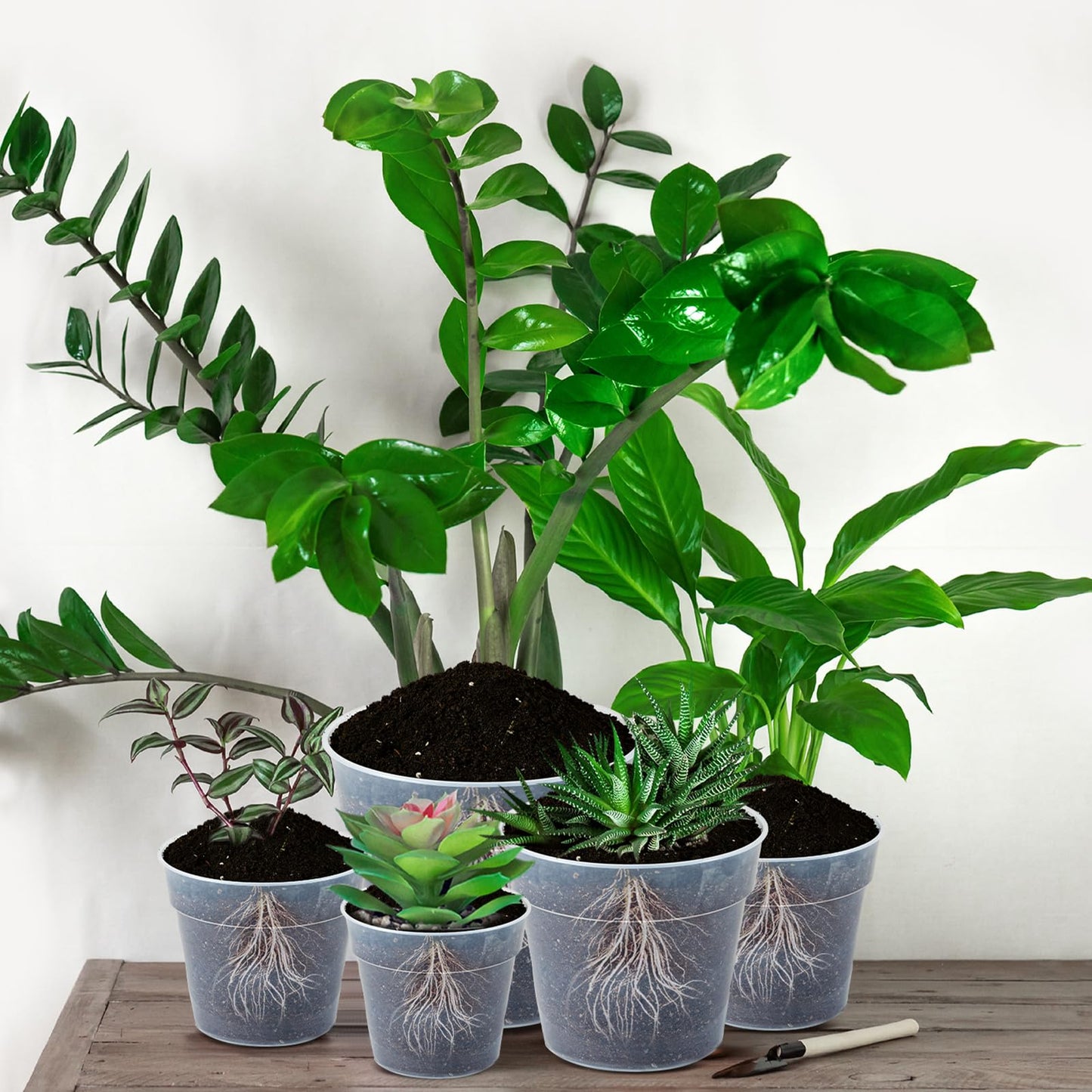 Vesici 24 Pcs 3/4/5/6/7/8/9/10 Inch Large Thickened Clear Nursery Pots Variety Pack Plant Pots with Drainage Holes Planters for Indoor Plants Flexible Transparent Plastic Plant Bottle Succulents