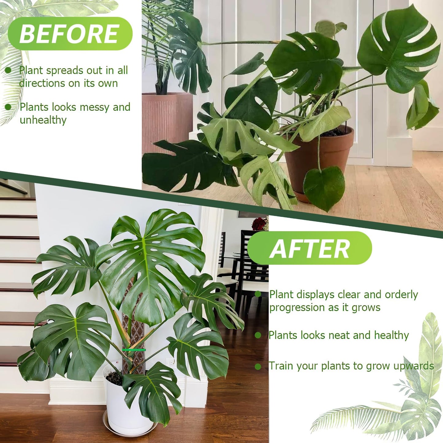 Sisher Monstera Moss Pole 4pcs Plastic Moss Pole for Climbing Plants Work with Sphagnum Moss 16 Inch D Shaped Poles Indoor Plant Support, White