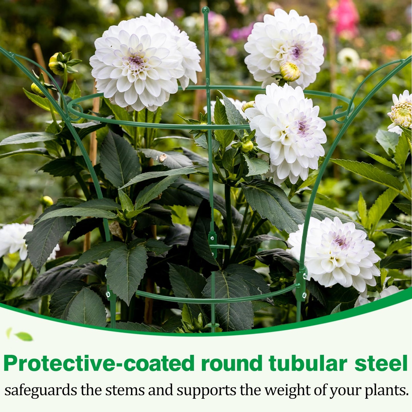 HEYTIMI 4 Pack Peony Cages and Supports Cages 13" D x 22.8" H Sturdy Metal Support Frame for Peonies & Roses Natural Bouquet Shape Garden Stakes for Outdoor Plants Flowers Ornamental (Green)
