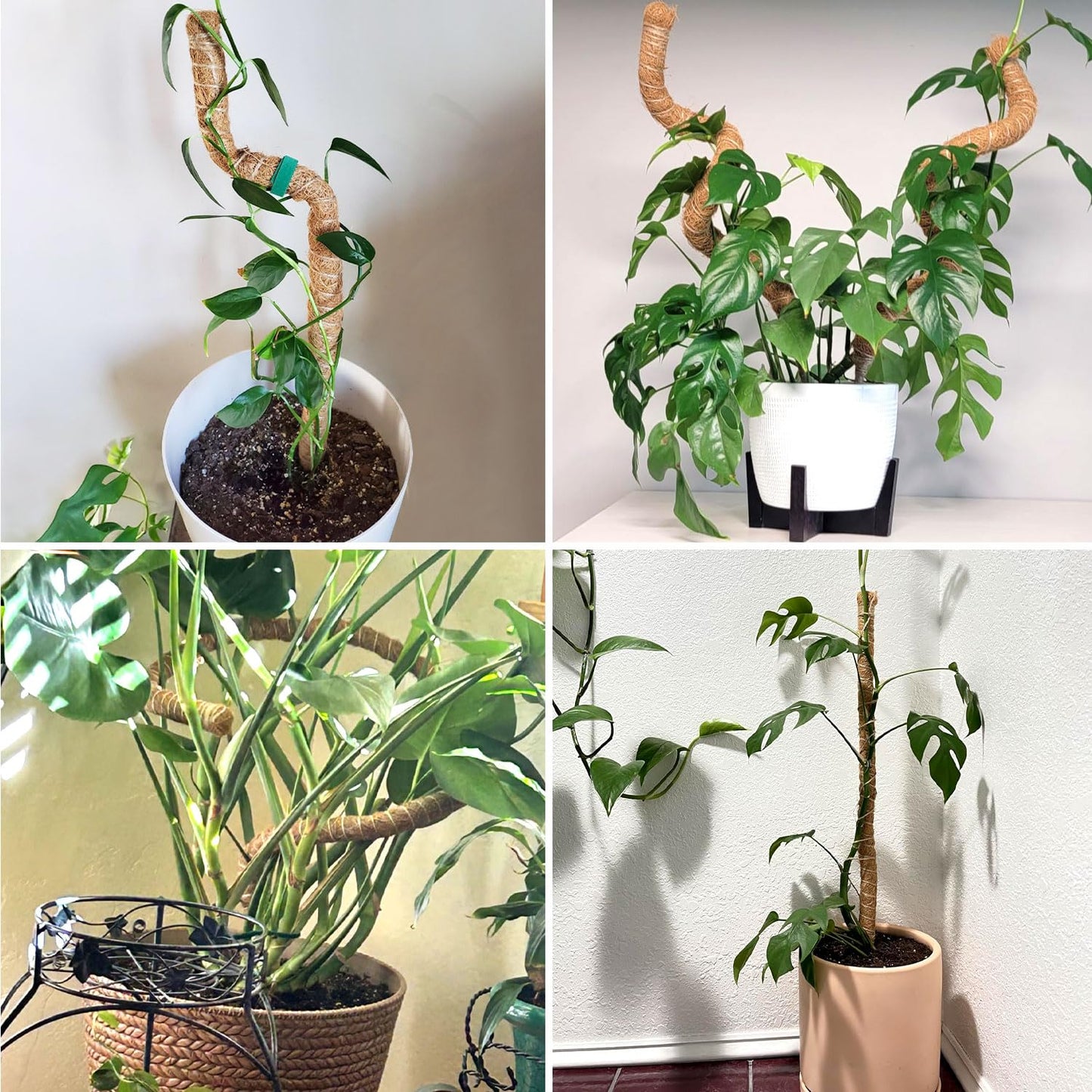 Homvvi Moss Pole 28 Inch, 4 Pack Monstera Plant Support, Bendable Coco Coir Pole - Plant Stakes for Indoor Plants, Moss Poles for Climbing Plants, with Gardening Accessories (Plant Ties etc)