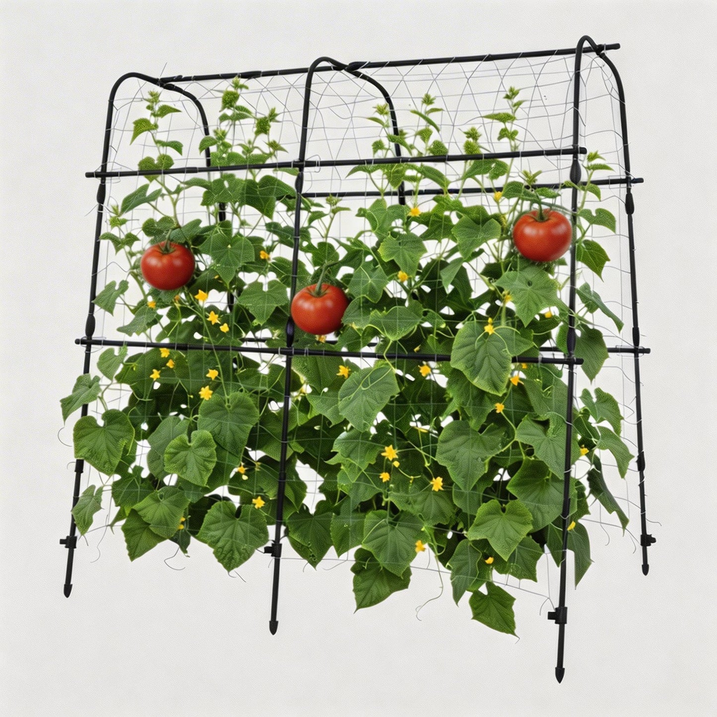 5.3x5.3FT Garden Arch Trellis for Raised Beds, Heavy Duty u-Shaped Plant Support for Climbing Vegetables, Fruits & Vines, Outdoor Rust-Resistant Metal Trellis for Vertical Growing, Black