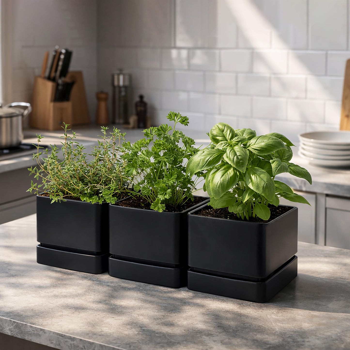 D'vine Dev 6 Inch Herb Planter Pot, Plastic Planter with Drainage Holes and Saucer, Modern Decorative Gardening Pot for Indoor Plants, Flowers, Herbs, Succulents, Black, Set of 3, 76-Y-B3-2