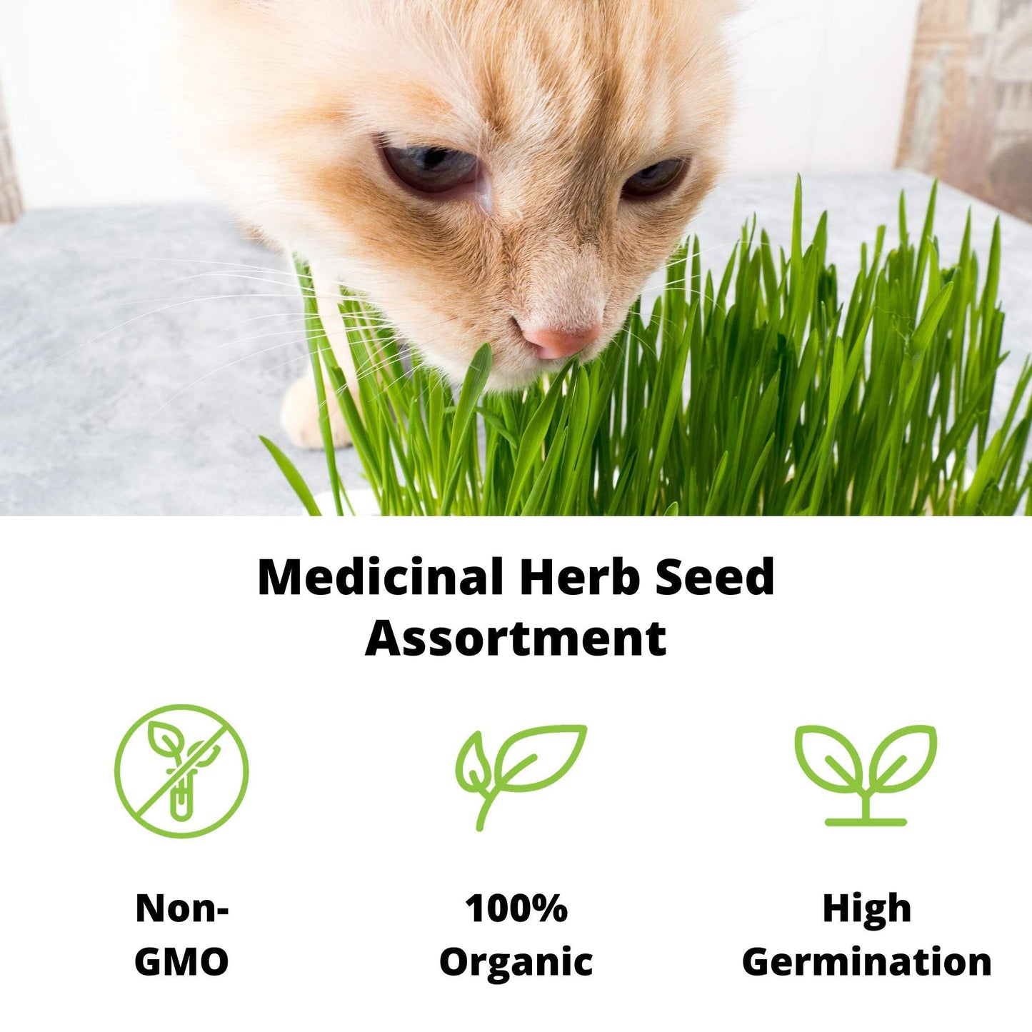 Organic Cat Grass Seeds Kit - Decorative Reclaimed Barnwood Style Organic Wheatgrass Seeds Planter - Aged Brown - Hairball Remedy for Cats, Healthy Pet Grass Supplement & Wheatgrass Growing Kit