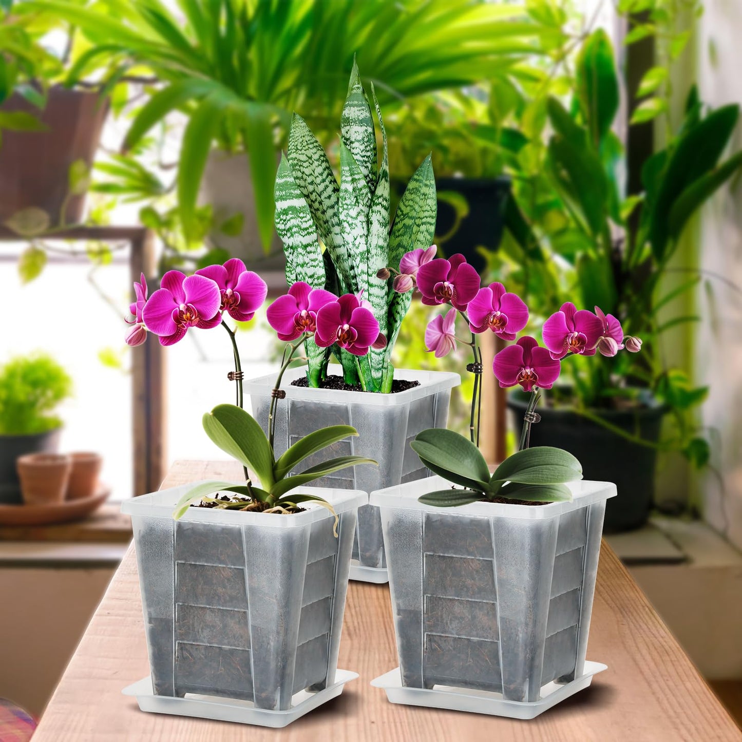 KIMERSE Square Orchid Pot, Clear Flower Pot 3 Pack 6 Inch, Root Control Planting Pots with Tray, Plastic Plant Pot for Home Balcony Orchids, Water Moss, Spider Plants