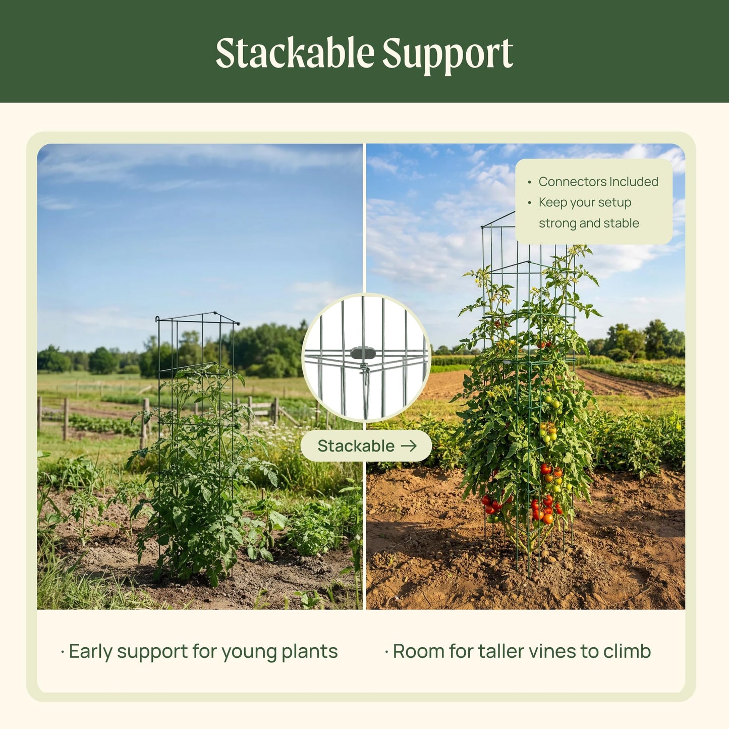 Vego 3-Panel Tomato Cage for Garden & Pots, Rust-Resistant Tomato Stakes Plant Cage Trellis Support for Climbing Vegetables Plants - 14.5" Triangle 3 Pack