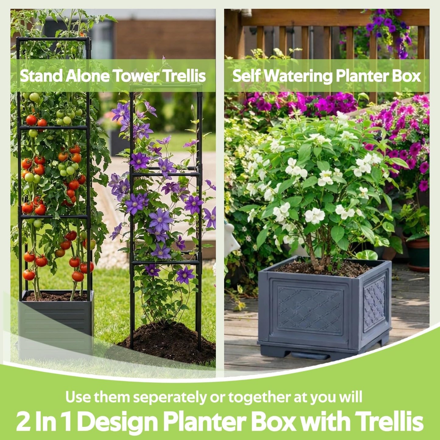 Jesosia Tomato Planter Box with Trellis - Self-Watering Rolling Raised Garden Bed with Tomato Cages for Climbing Plants - Tomato Pots with Cage Plant Support for Flower Vegetable Vine Indoor Outdoor