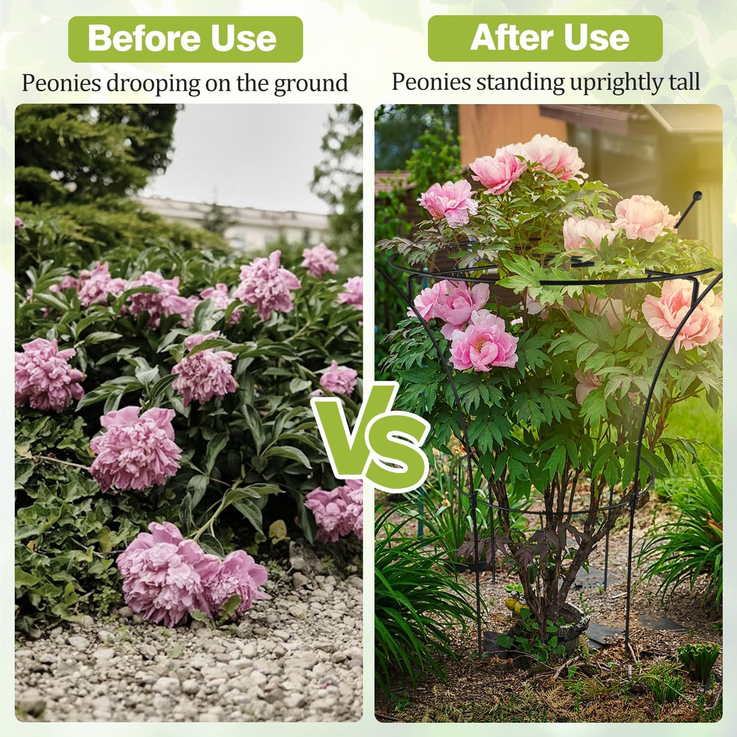 HEYTIMI 1 Pack Large Peony Cages and Supports, 38" H x 19" D Tall Heavy Duty 5mm Black Metal Garden Stakes for Outdoor & Indoor Plants, Sturdy Rust-Resistant Frame for Peonies Roses Flowers