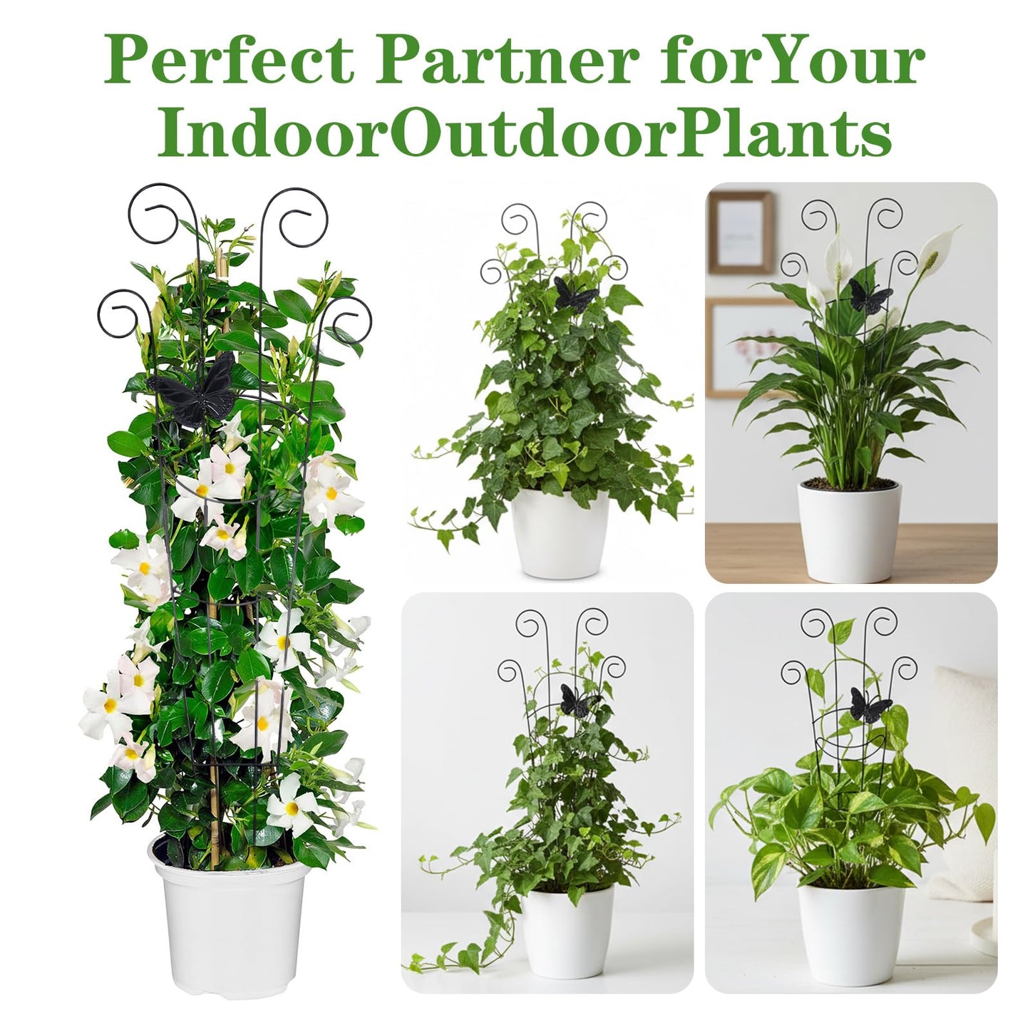 4 Pack 30 Inch Taller Plant Trellis for Potted Climbing Plants Indoor, Black Metal Garden Trellis with Butterfly & Bird Designs - Sturdy Expandable Plant Support for Ivy, Pothos, Monstera