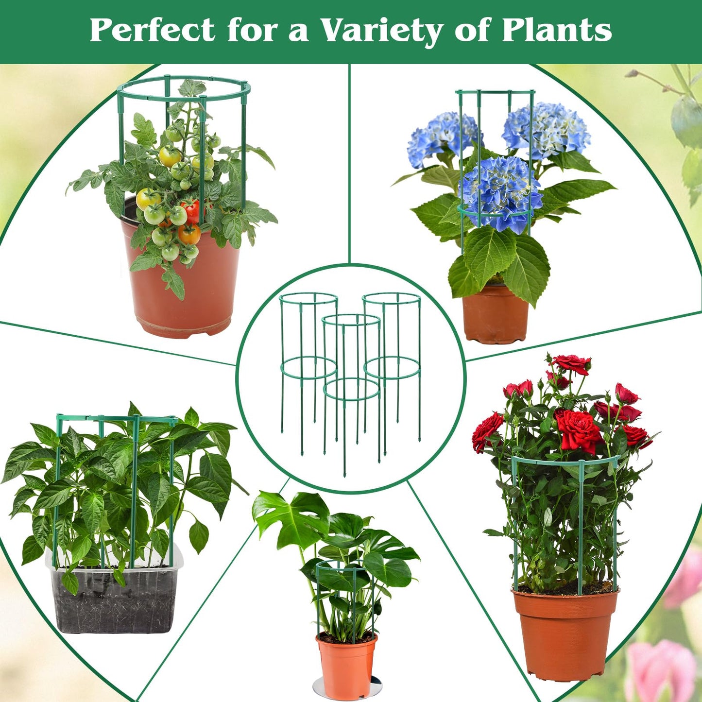 Fiwochic 100 Pcs Plant Support Stake 5.9" W X 9.8" H Half Round Plant Cage Stackable Garden Flower Support for Indoor Outdoor Flower Vegetable Tomato Peony Monstera Hydrangea Climbing Plants