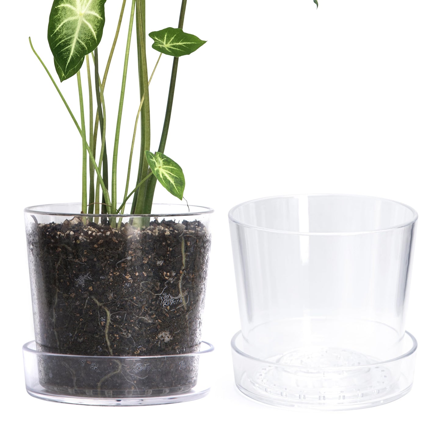 Phoenix Vine 8 Inch Clear Acrylic Planter Pot with Tray, Orchid Pot with Drainage Holes, Deep Saucer for Bottom Watering, Transparent Containers for Indoor Plants, Herbs, Set of 2, 91-A-G-2