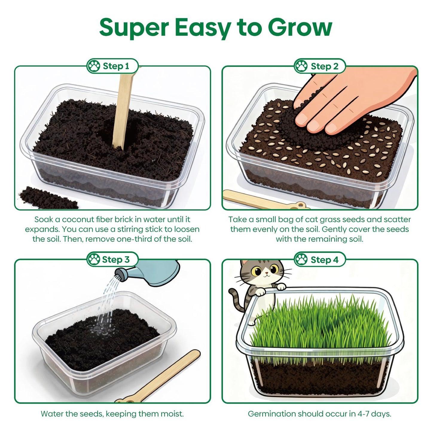 Groundio Cat Grass Seeds, All in 1 Cat Grass Growing Kit for Indoor Cats, Organic Wheat & Oat Seed with 98% High Germination Rate, Heirloom | Non-GMO | Coco Coir | BPA Free Container