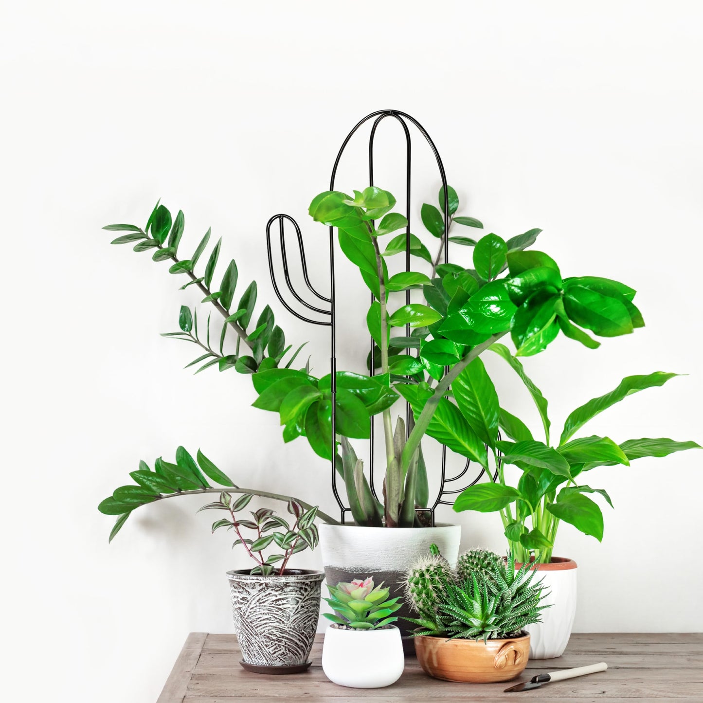 4(Four) Indoor Plant Trellis for Climbing Plants, 2(Two) 32.6in Plant Trellis for Climbing Plants Indoor Outdoor, 2(Two) 31.8in Heay Duty Cactus Trellis for Potted Plants