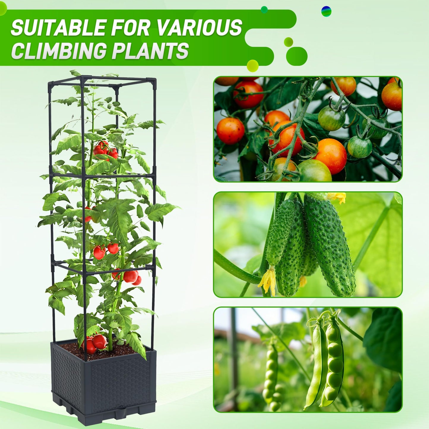 Biotolot Raised Garden Bed Tomato Planter Box with Trellis, 44" Self-Watering Tomato Cage with Square Trellis for Climbing Plants, Flowers, Vegetables, Vine in Patio Garden Indoor Outdoor