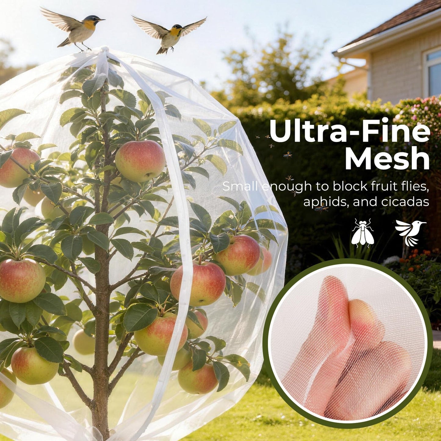 Homoda Fruit Tree Netting Cover with Zipper & Drawstring, 2 Packs 6ft x 6ft Insect Bird Barrier Netting for Garden Protection, Ultra Fine Mesh Garden Netting