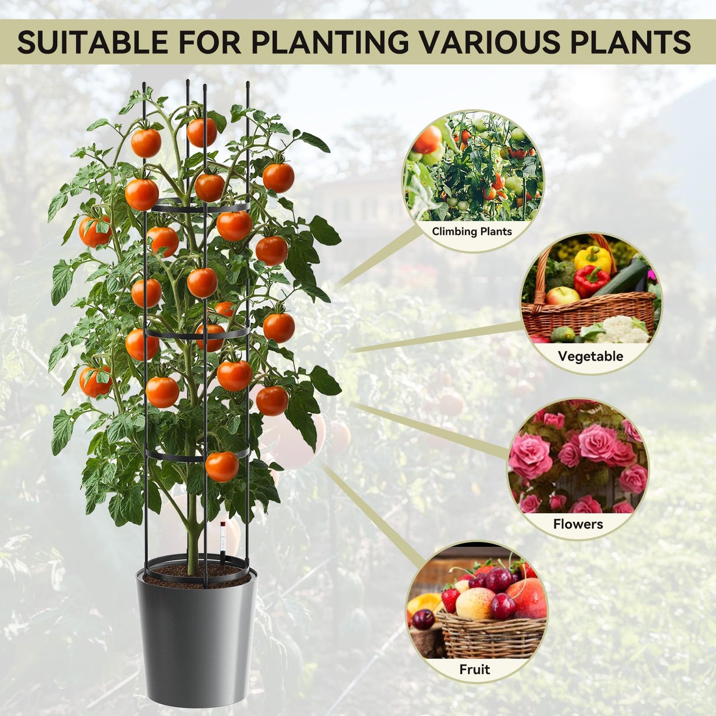 SUNYRISY Raised Garden Bed Planter Box with Trellis, Self Watering Tomato Planter Box with Wheels for Climbing Plants Vegetable Vine Flowers Outdoor Patio, Grey