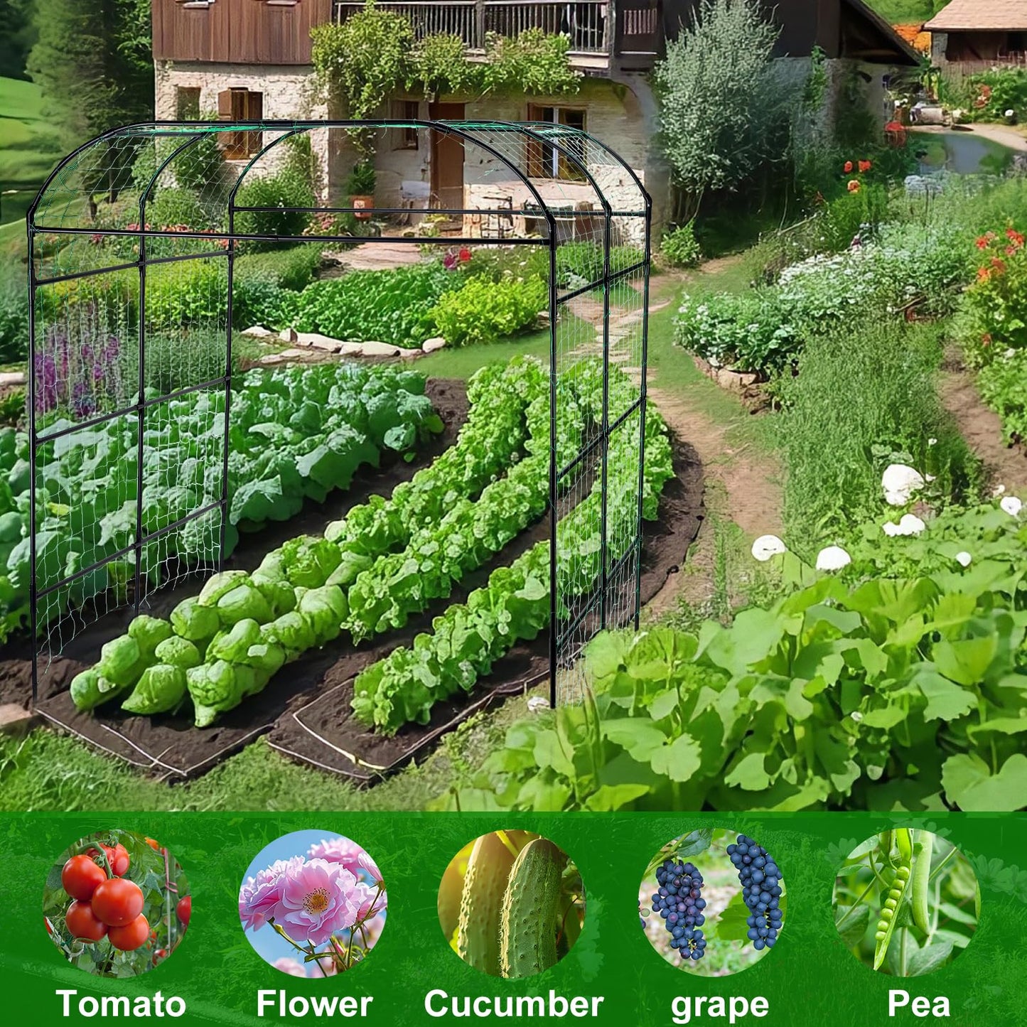 yotoworth Garden Arch Trellis for Climbing Plants Outdoor, Grape Vine Tomato Bean U Frame Plant Vegetable Support, Cucumber Pergola for Backyard, Black