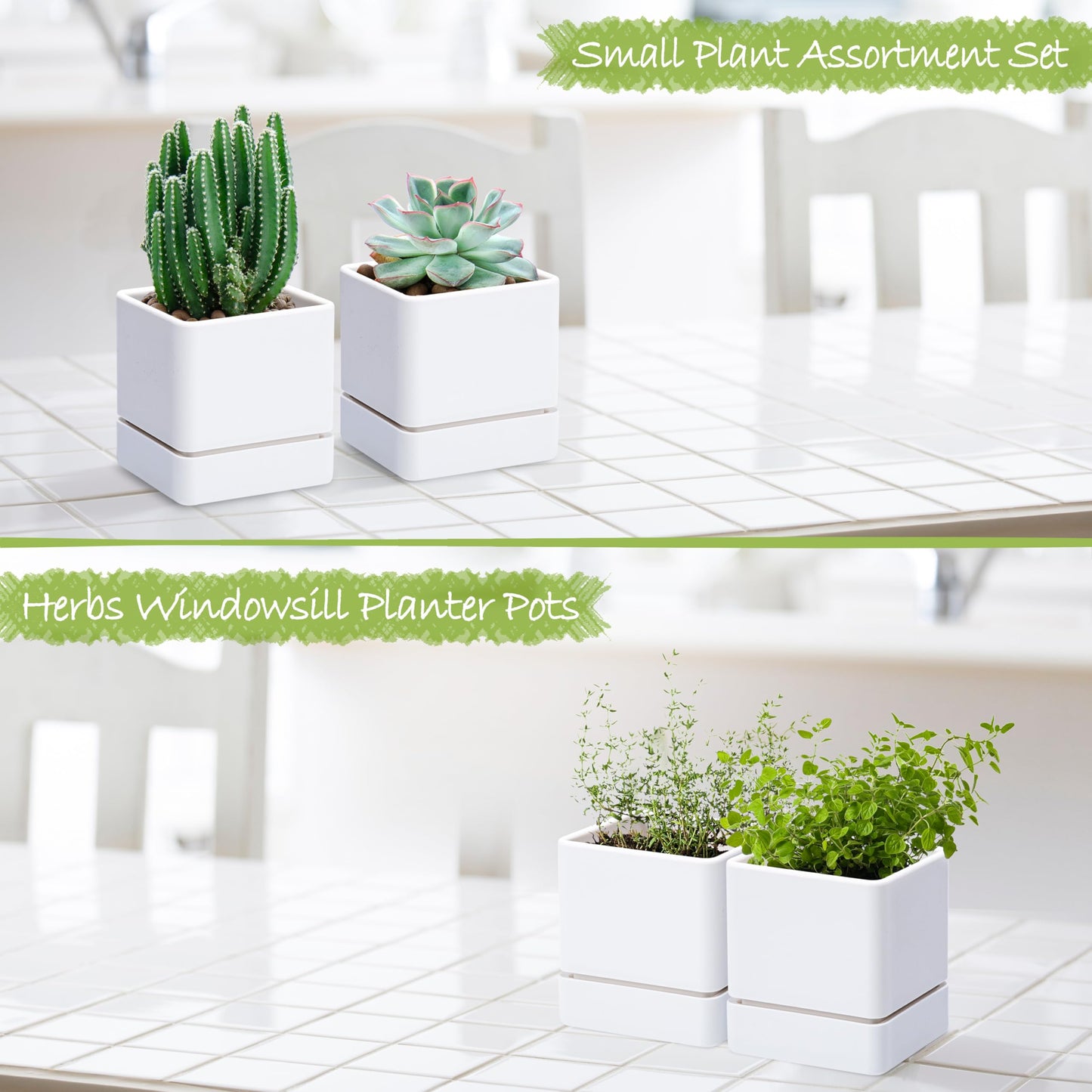 D'vine Dev 4 Inch Herb Planter Pot, Plastic Planter with Drainage Holes and Saucer, Modern Decorative Gardening Pot for Indoor Plants, Flowers, Herbs, Succulents, White, Set of 2, 76-Y-A2-1
