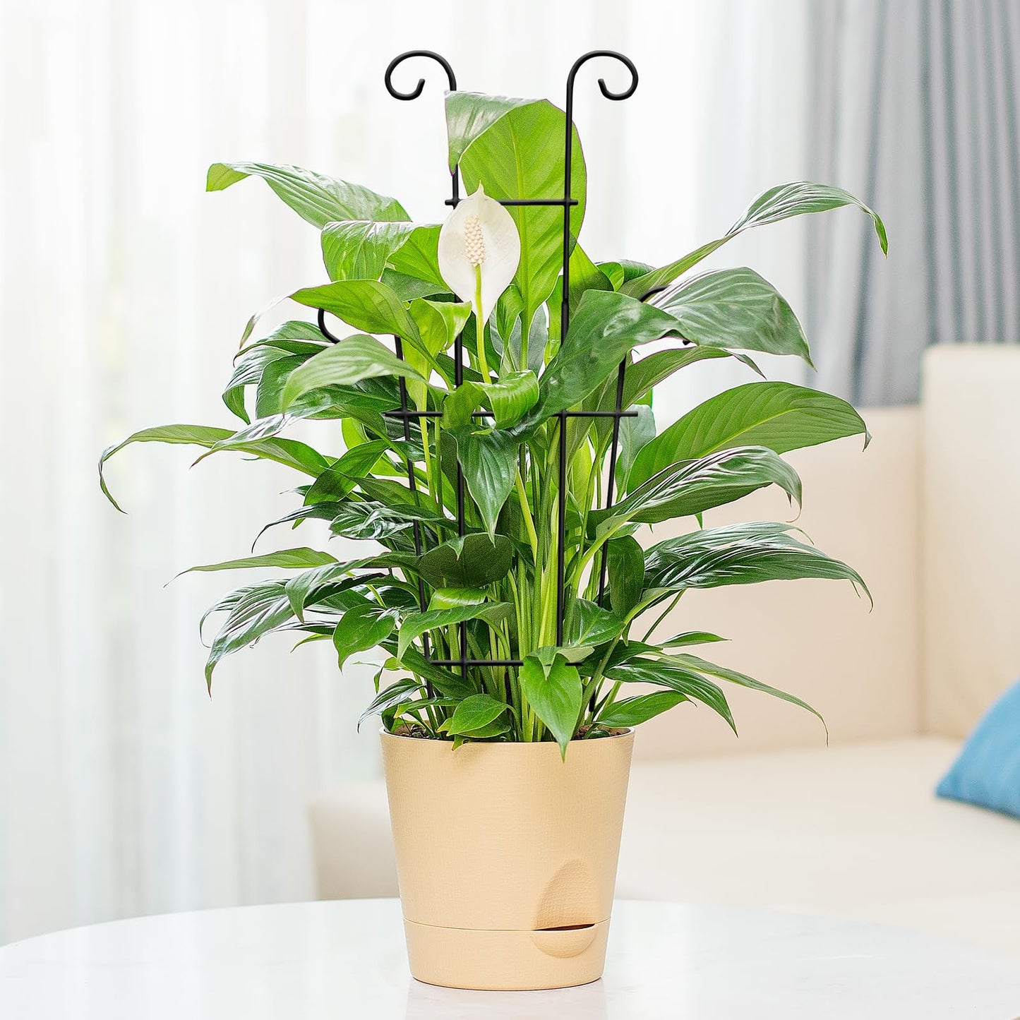 4(Four) Expandable Metal Trellis for Potted Plants, 2(Two) 23in Plant Trellis for Potted Plants and 2(Two) 32.6in Plant Trellis for Climbing Plants Indoor