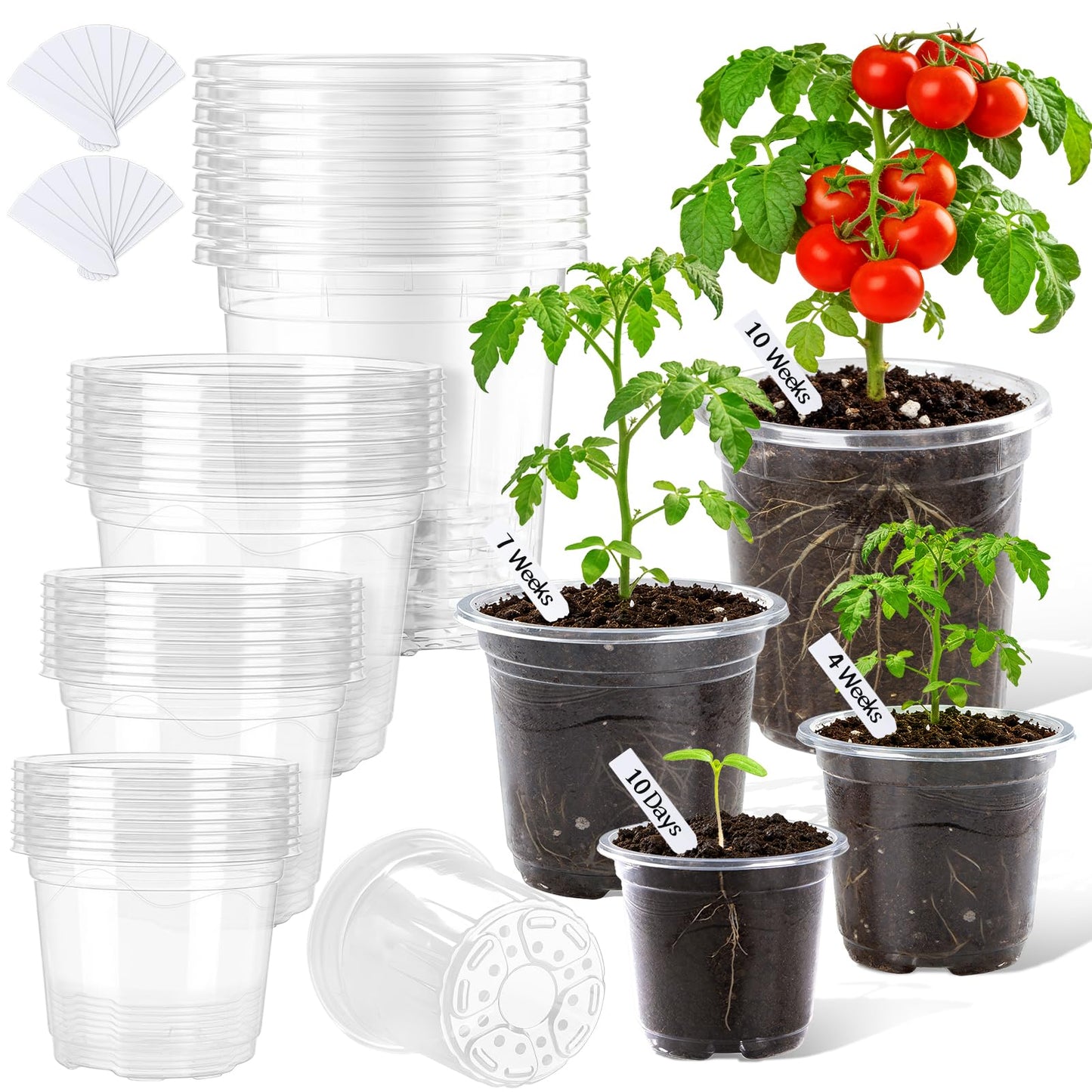 CINKSY 36 Pack Clear Plant Nursery Pots, 7/5/4/3.5 Inch Plastic Planter Pots with Drainage Hole, Flower Seedling Nursery Pots with 20 Labels for Garden Indoor Outdoor