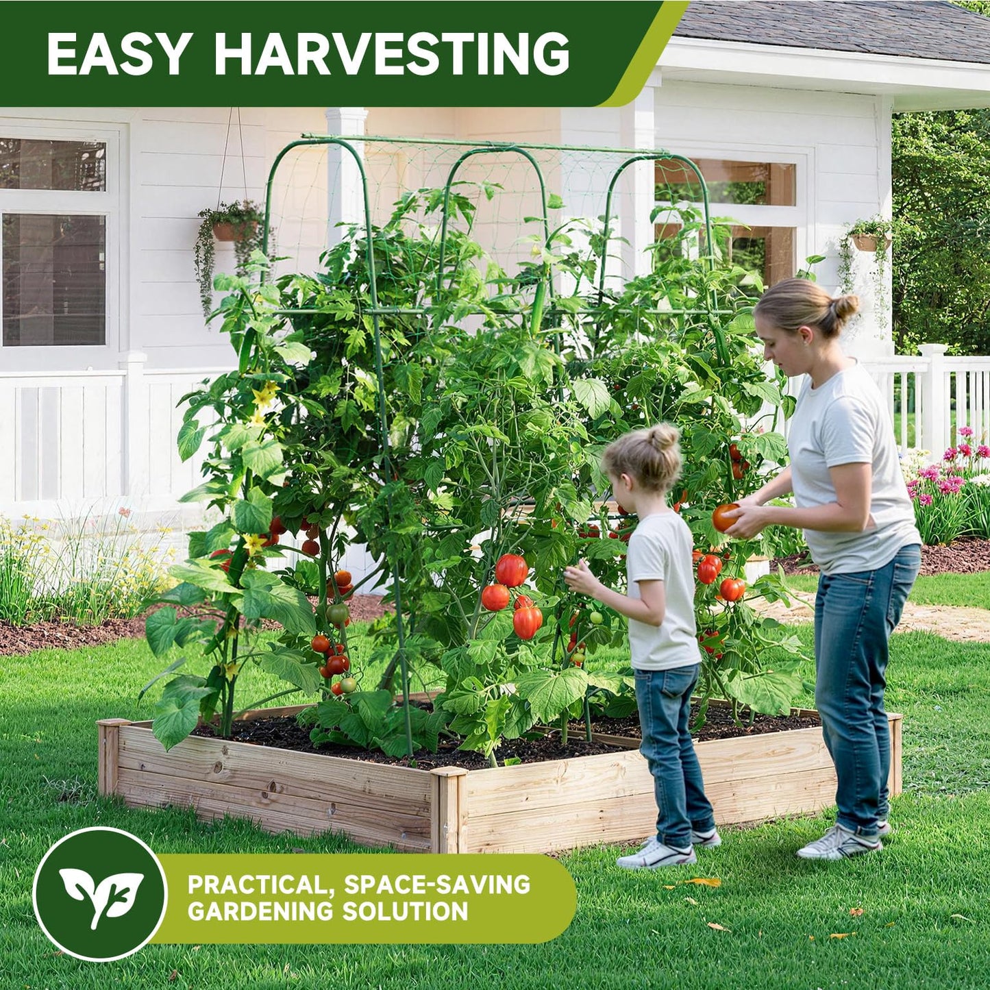 HIRALIY Cucumber Trellis for Climbing Plants Outdoor, 5.25ft Tall Heavy Duty Metal Garden Arch Trellis, Rustproof Plant Support Tunnel for Tomato, Grape, Bean, Raised Bed and Vegetable Gardens, Green