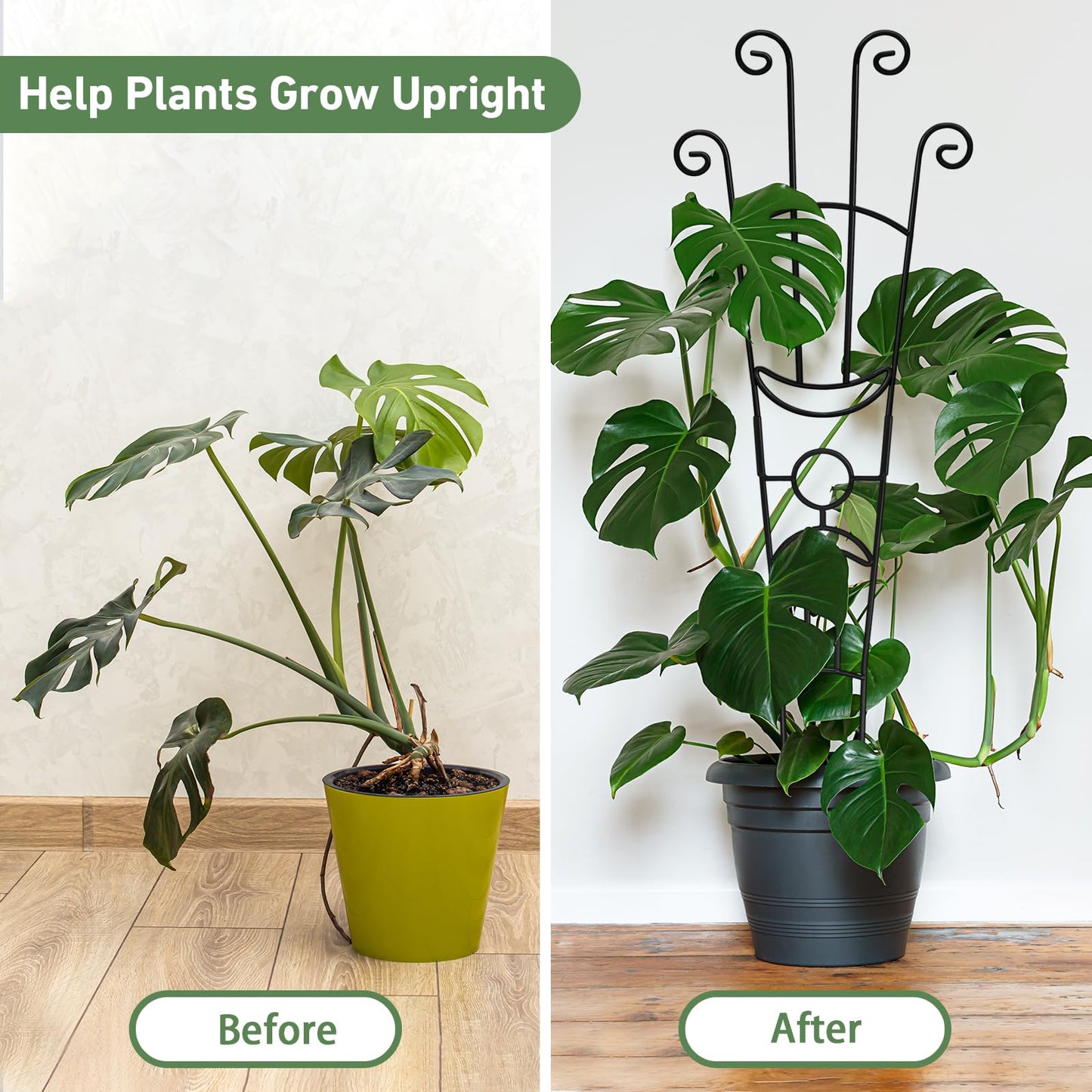 6(Six) Plant Trellis for Climbing Plants Indoor, 2(Two) Expandable Large Metal Trellis for Potted Plants and 4(Four) Trellis for Potted Plants
