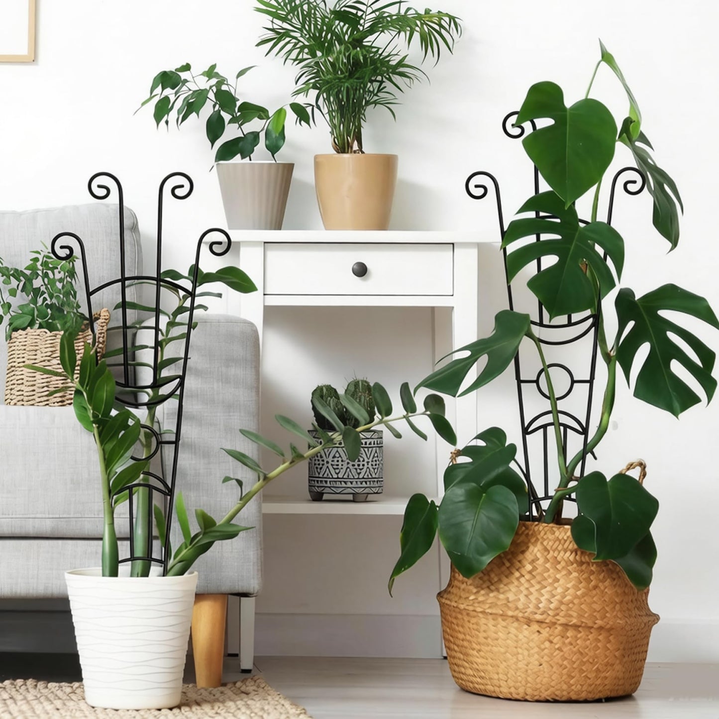 Trellis for Climbing Plants Indoor, 2 Pack Black Metal Trellis for Potted Plants, Adjustable Indoor Plant Support Monstera, Pothos, Ivy (32.7 Inch Tall)