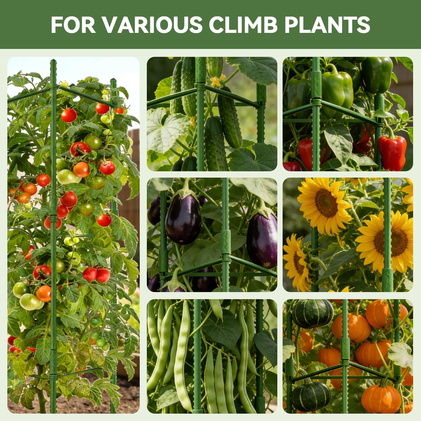Halatool 63 Inch Tall Tomato Cage 8 Pack, Adjustable Tomato Cages for Garden, Garden Stakes Tomatoe Trellis for Pots, Tomatoes Plant Support for Raised Garden Bed & Vegetables Flowers