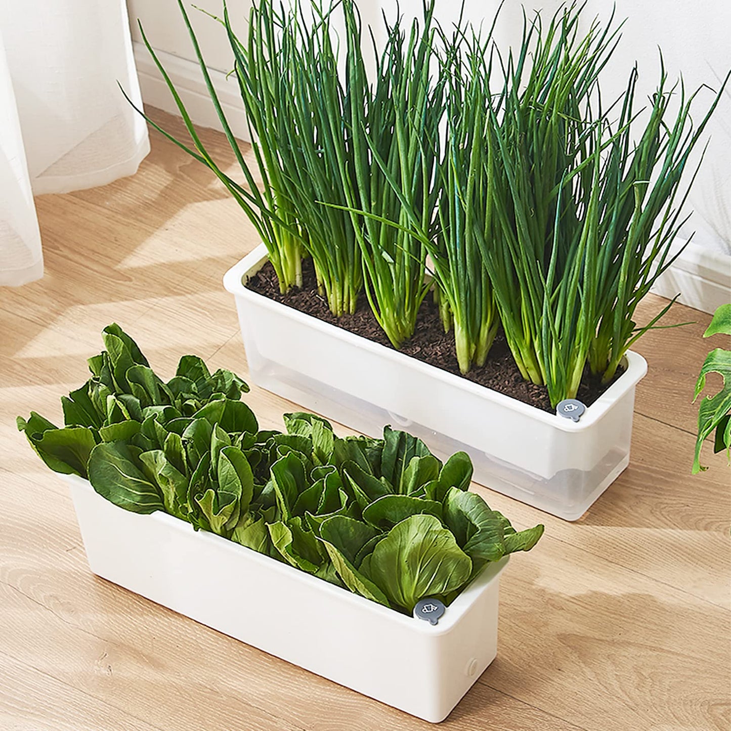 FAMZ Self Watering Pots for Indoor Plants 3 Pack Transparent Rectangular Planter, Vegetable Planters for Windowsill Patio Garden Balcony Home Porch Yard Indoor Outdoor, White