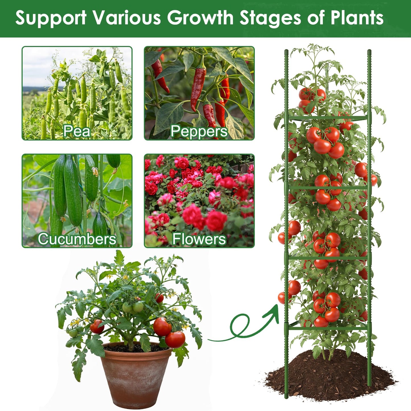 CEWOR Tomato Cage - 3 Pack Tomato Trellis, 63 Inch Tomato Cages for Garden, Extra Tall Plant Support Triangle Structures Garden Stakes for Climbing Plants Outdoor, Pots, Raised Garden Bed, Vegetables