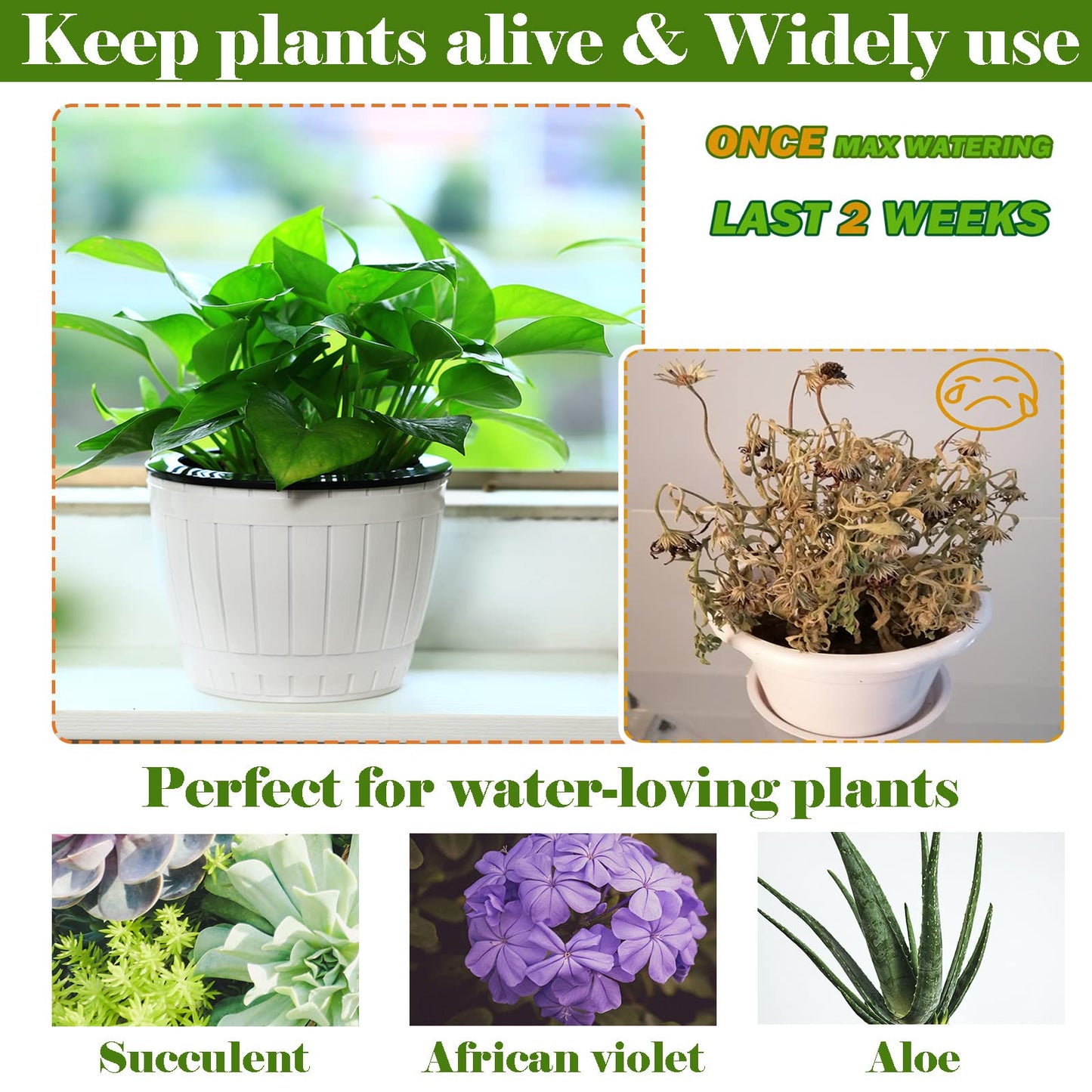 Planterhoma 3 Pack Self Watering Pots for Indoor Plants, 7.1 Inch Plastic Plant Pots, White