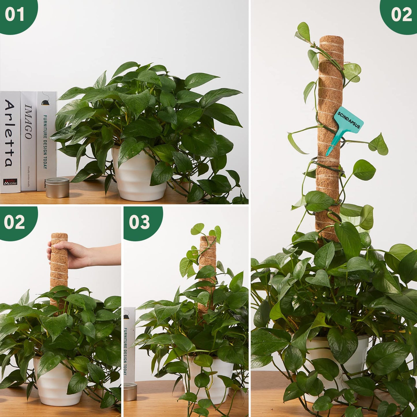 10 Pack Moss Pole, 112 Inch Coir Moss Pole for Plants Monstera, Plant Pole for Climbing Indoor Plants Potted Plants, Plant Sticks Support Extension with 30 Pcs Plant Labels and 5 Pcs Garden Ties