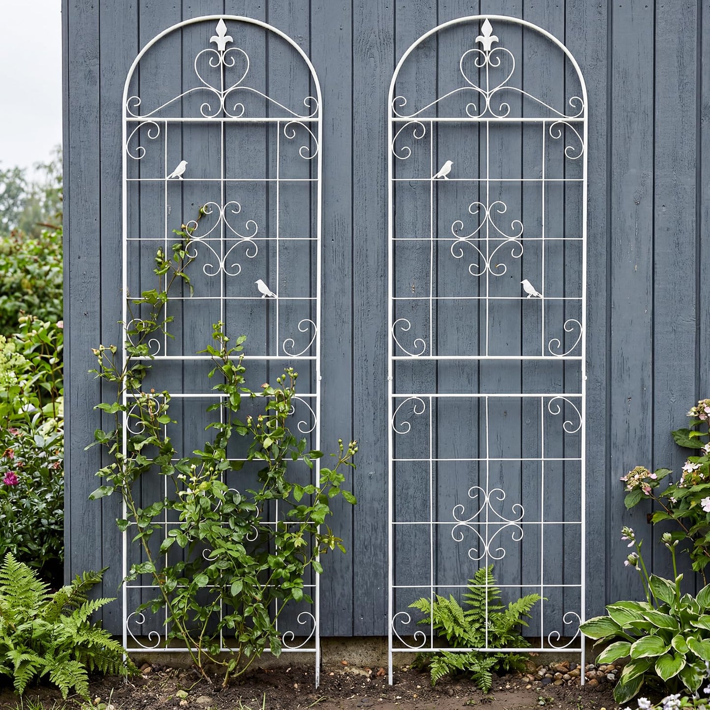 Garden Trellis for Climbing Plants Outdoor, Maidapulu 2 Pack 70.8x19.6 Inch White Metal Trellis - Rustproof Lattice Support Panel with Easy Assembly for Roses, Clematis, Cucumbers, Vegetable Garden